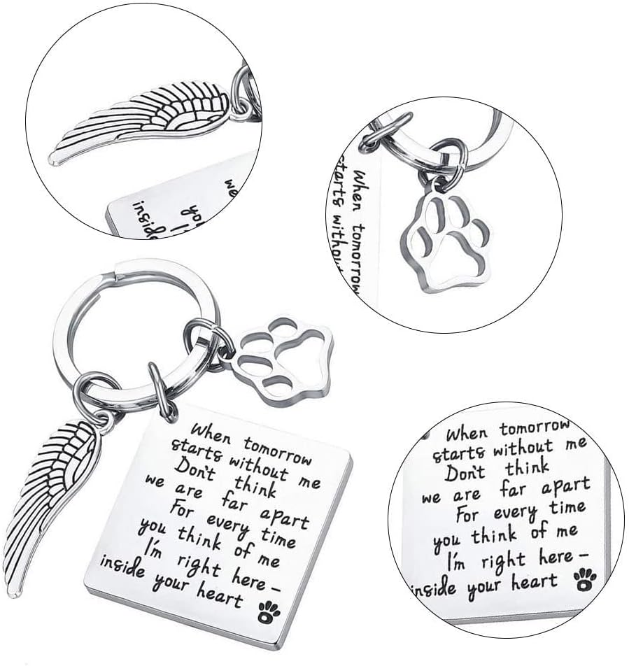 Memorial Keychain with Paw Charm, Keyring for Pets with Paw Prints, Pet Memorial Key Chain, Cat Paw for Car Keys, House Keys, Stainless Steel image number 1