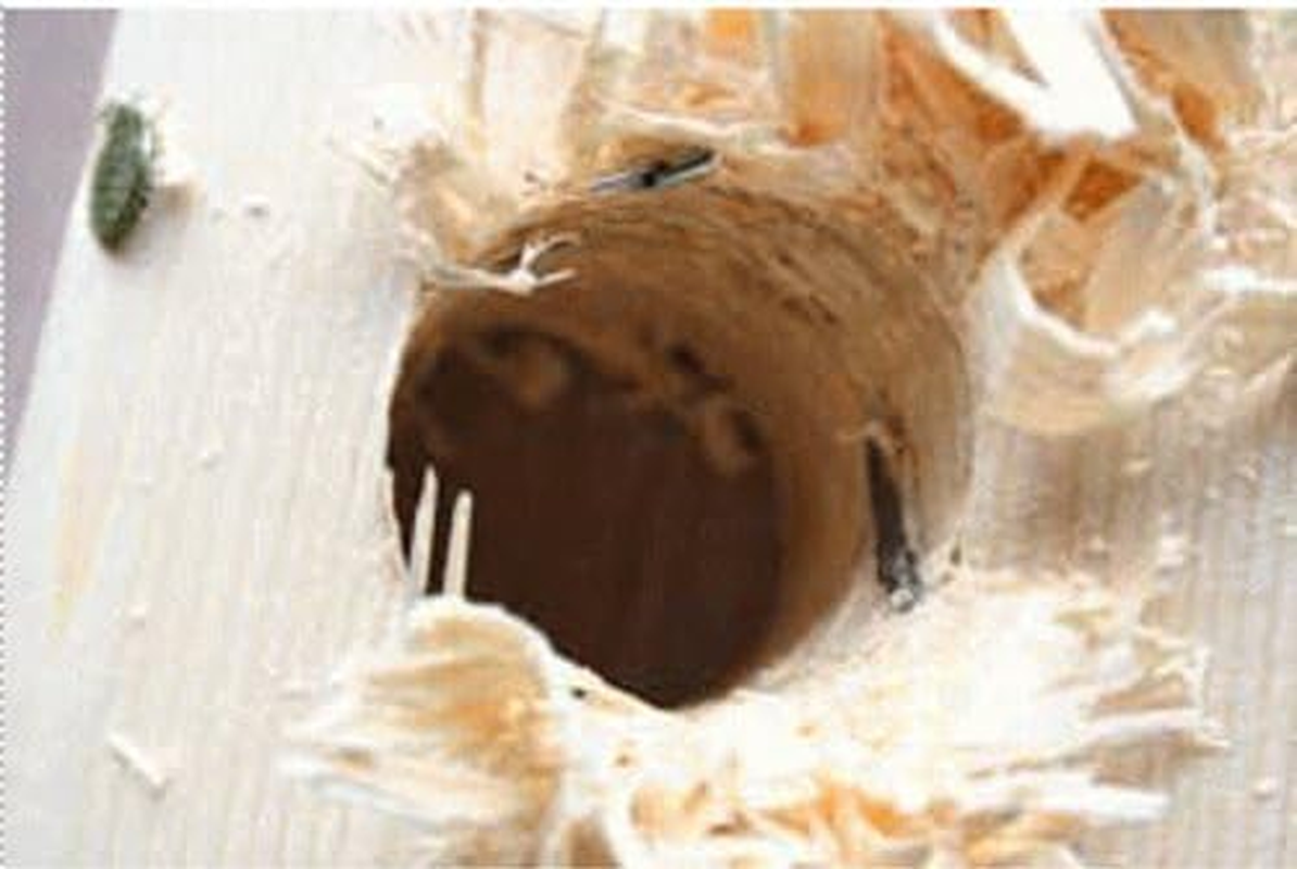 Star-M 9L-180 Nail Cutting Drill Long, 18 image number 1