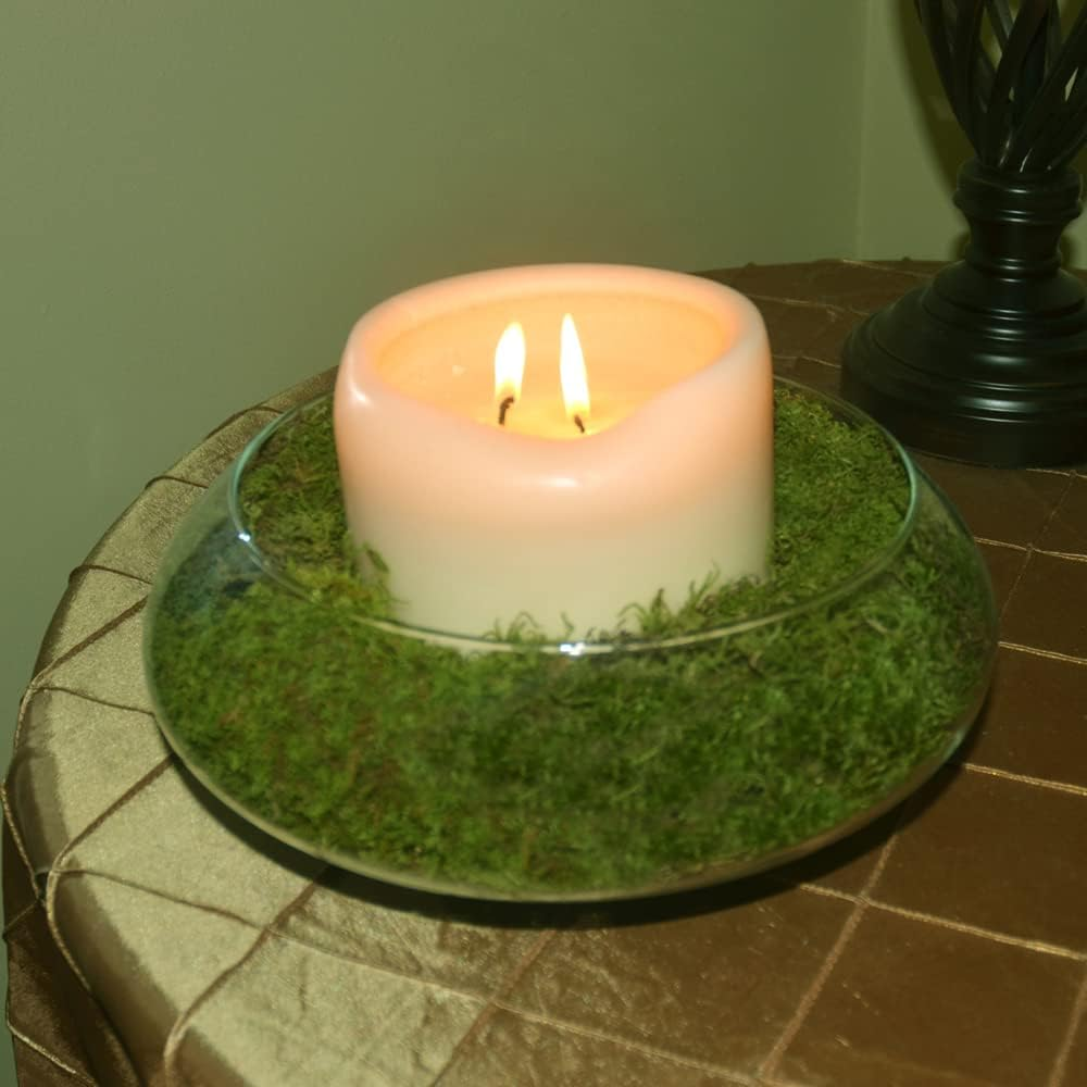 Mosser Lee ML0460 Natural Green Sheet Moss, 325 Sq. In.