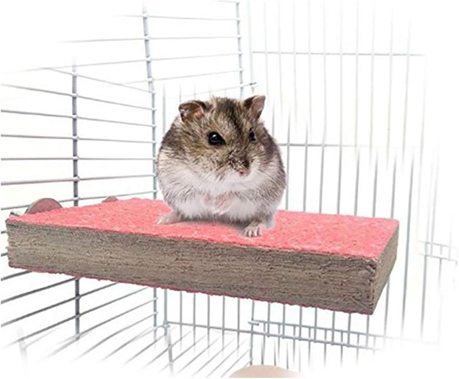 Tooloflife Bird Perch Stand Platform Toy, Natural Wood Playground Paw Grinding for Toys Parrot Parakeet Chew Toy 5PCS