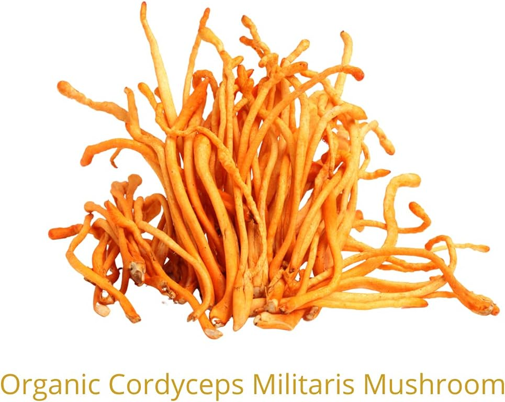 Brain and Brawn Synergy Collagen Coffee (20 X 15G Sachet) with Organic Cordyceps and Collagen Peptides for Skin, Hair and Nail Health, MCT Oil, Organic Cordyceps and Acacia Fibre, 100% Arabica Coffee, Unsweetened, All-In-One Beauty Coffee 300G (20 Serves) image number 1