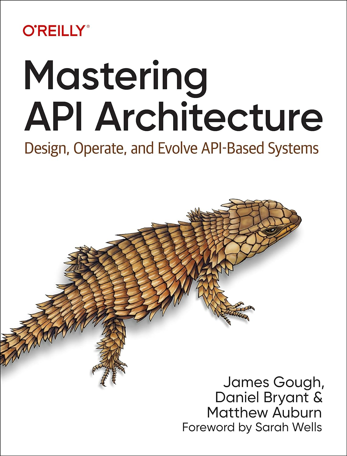 Mastering API Architecture: Defining, Connecting, and Securing Distributed Systems and Microservices