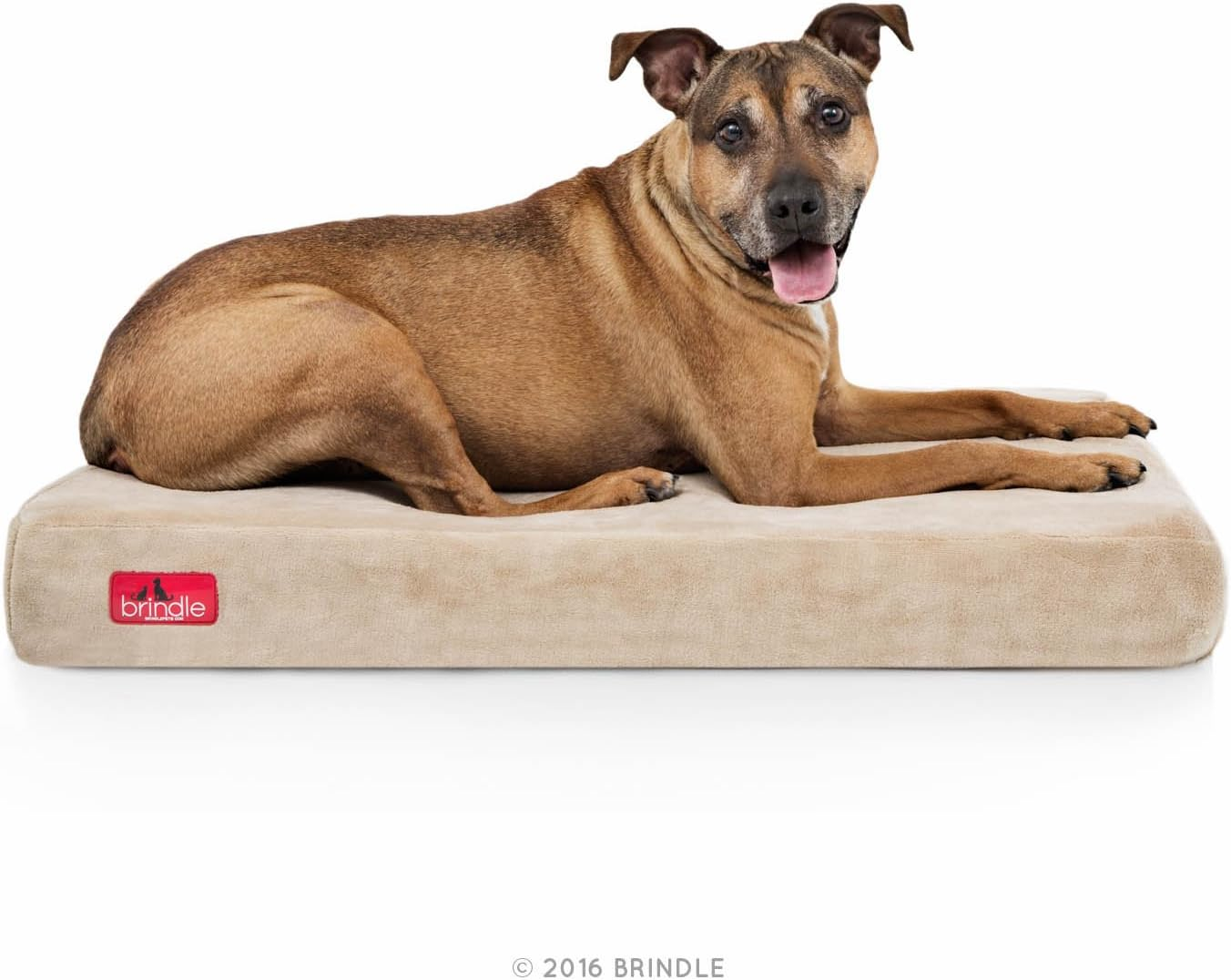 BRINDLE Waterproof Memory Foam Pet Bed - Removable and Washable Cover - 4 Inch Orthopedic Dog and Cat Bed - Fits Most Crates image number 3