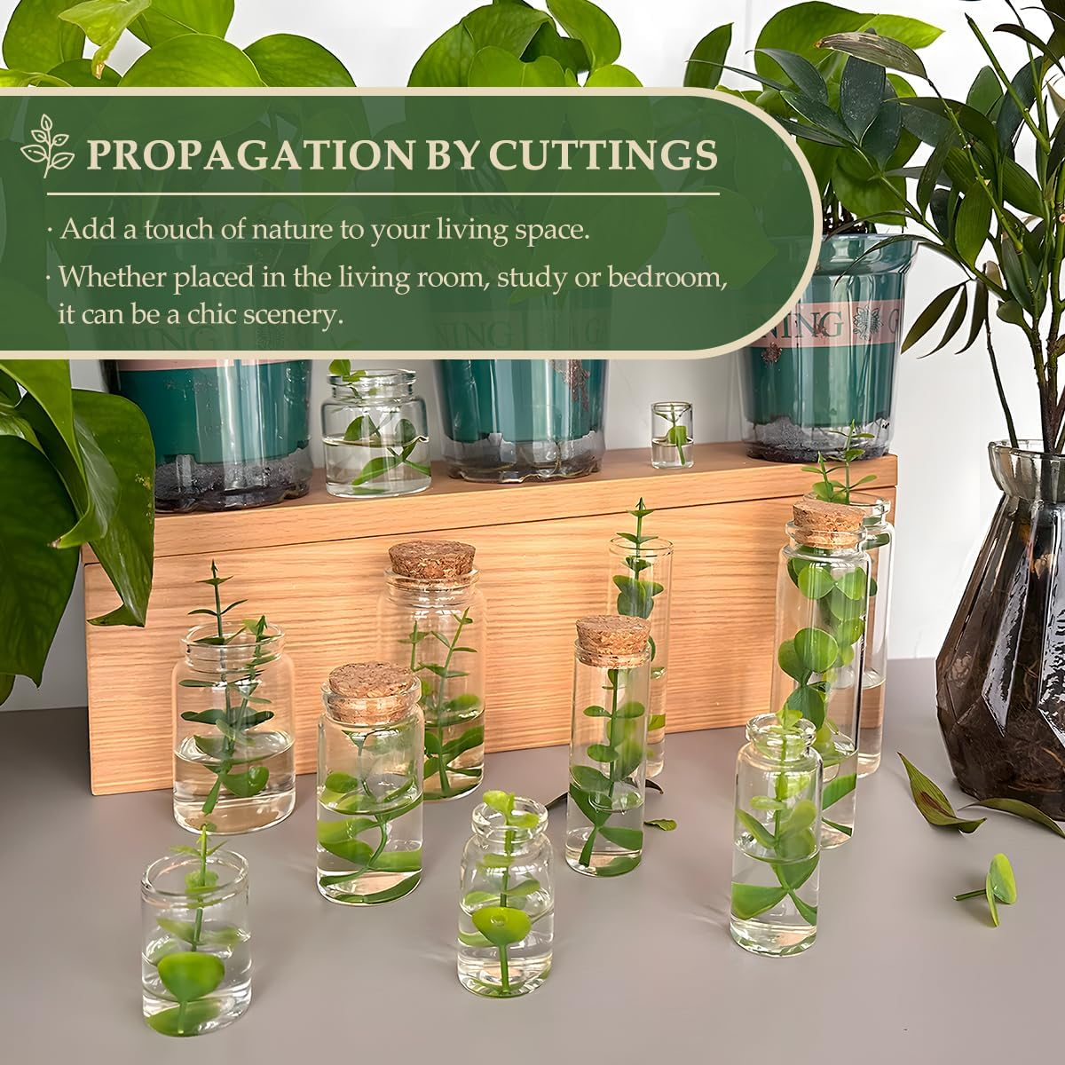 JIUYUE 15 Pcs 50 Ml Glass Bottle with Cork,Jars with Cork Lids(1.7 Oz-1.85X1.96 Inch) image number 2