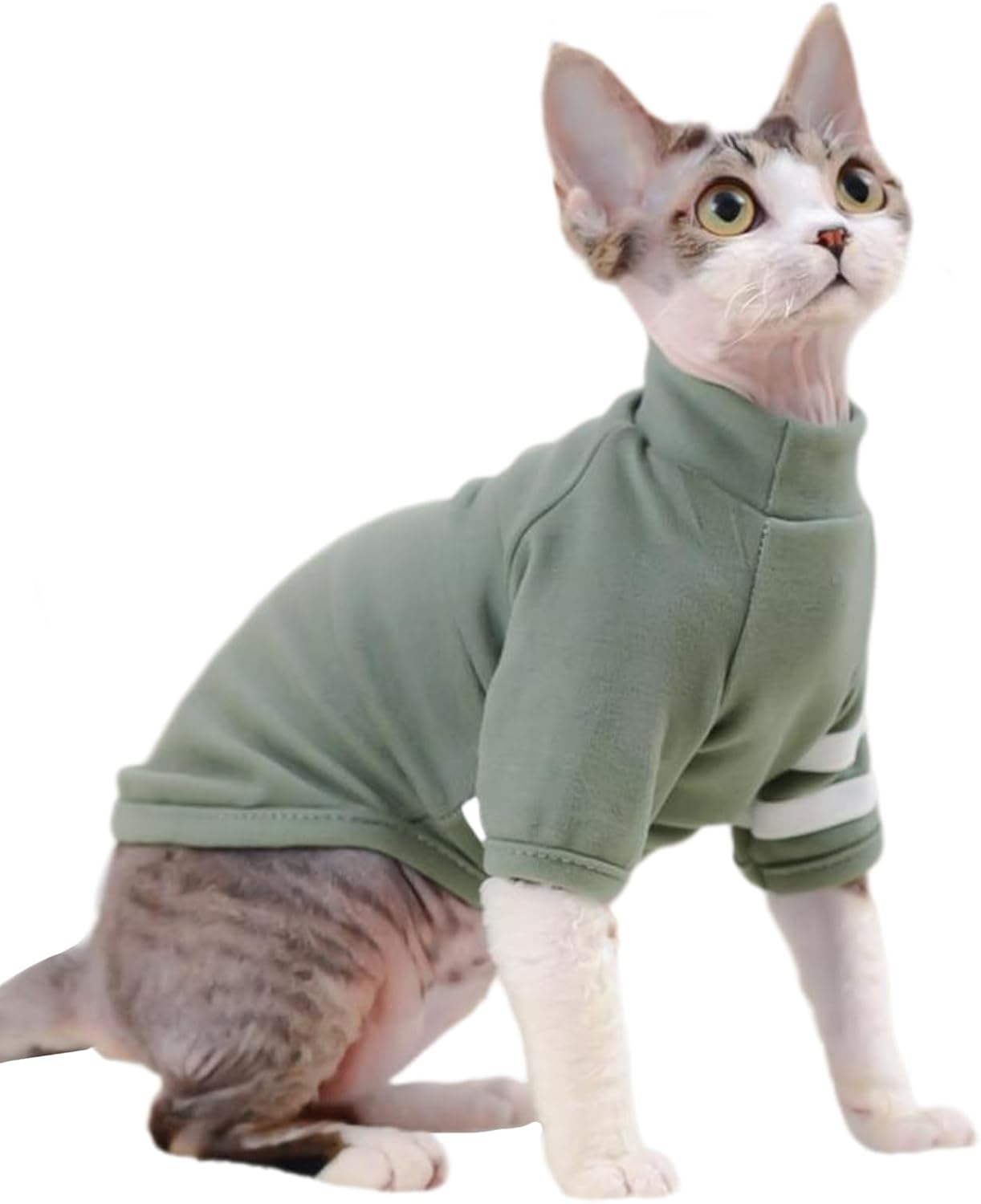 IUOUTG Hairless Cats Clothes Breathable Basic Cat T-Shirts Spring and Summer High Elasticity Kitten Shirts round Collar Cat Vest Clothes for Cats Small Dogs image number 5