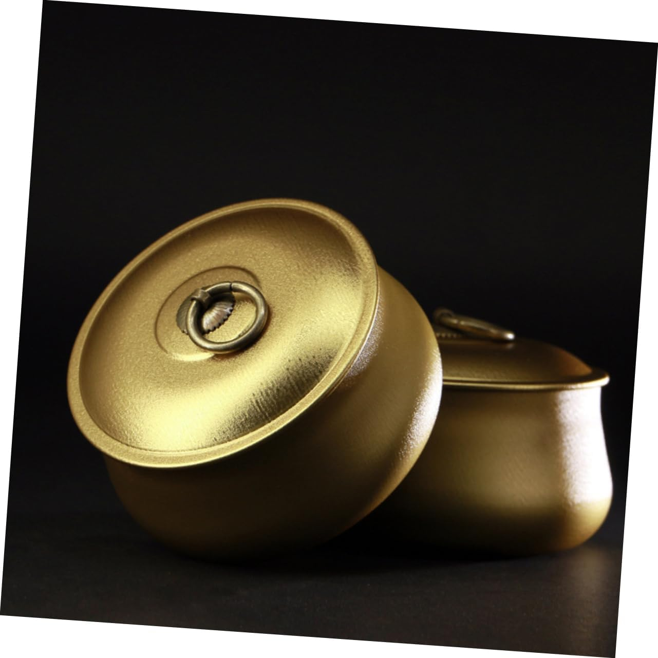 Hoement 2Pcs Mini Portable Iron Tea Storage Jar Sealed round Box for Tea for Home Use Compact Design for Easy Carrying and Storage Golden image number 5