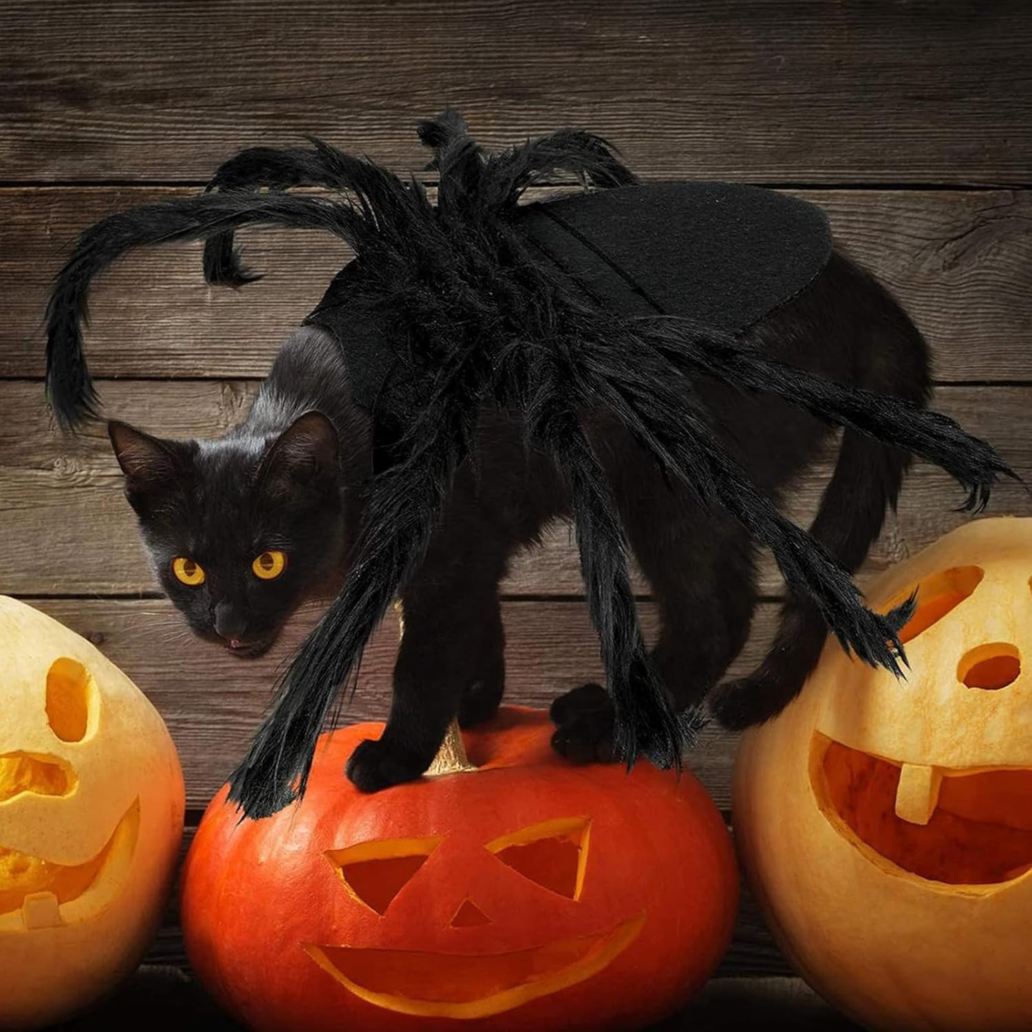 Cat Horror Spider Costume Spider Dog Clothing Decor Halloween Decoration Costume Dog Costume Cat Cat Dog Scary Costume Halloween Pet Costume for Party Christmas Halloween Black (M Size) image number 2