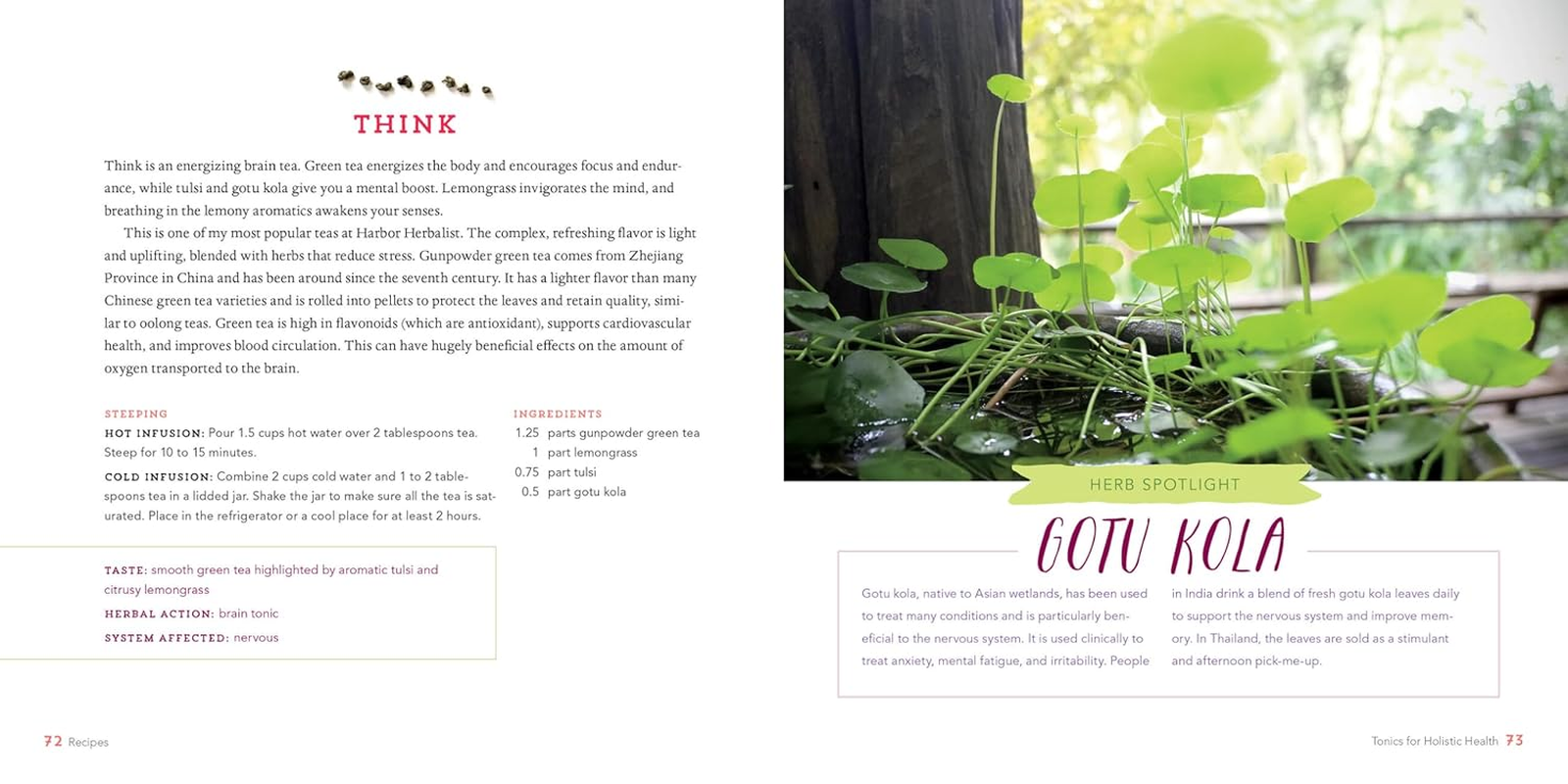 Healing Herbal Teas: Learn to Blend 101 Specially Formulated Teas for Stress Management, Common Ailments, Seasonal Health, and Immune Support image number 5