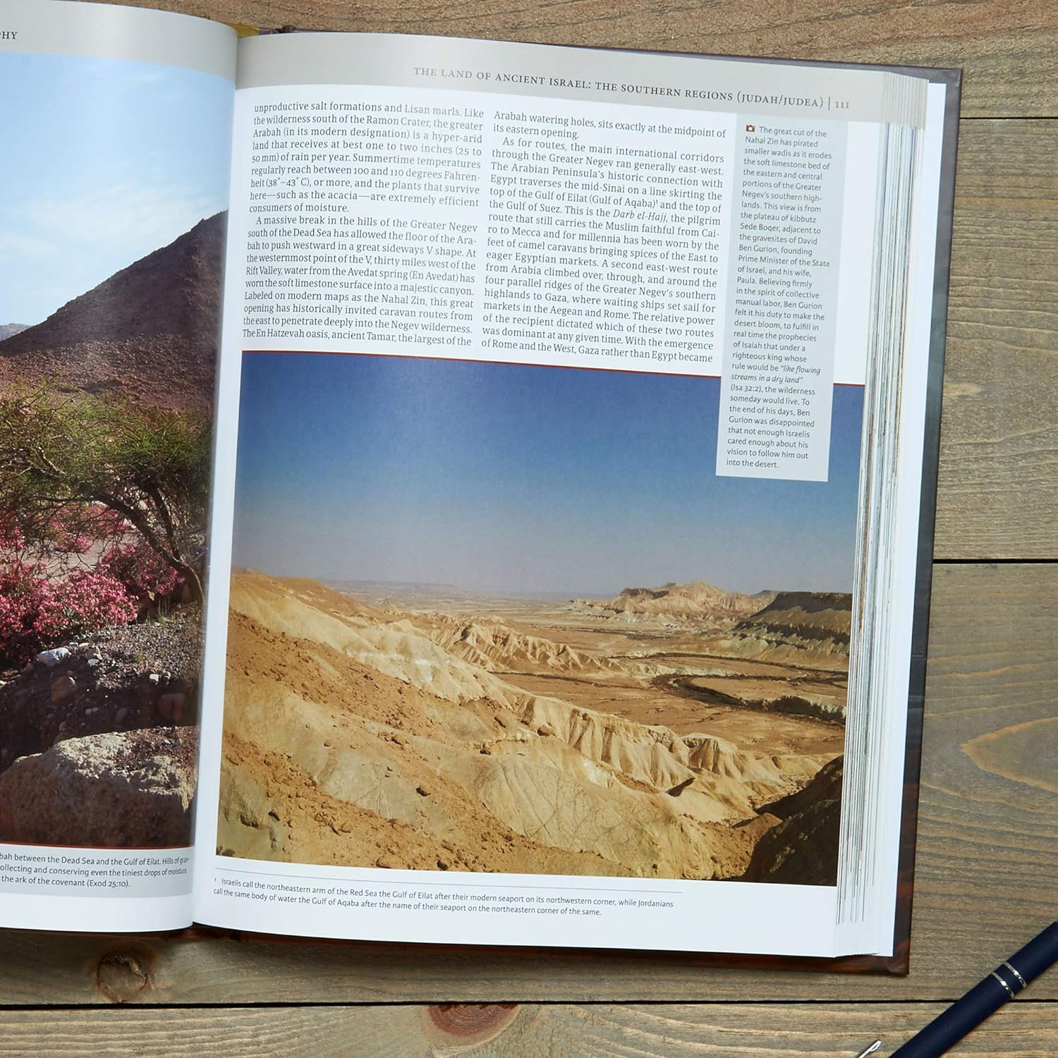 Holman Illustrated Guide to Biblical Geography: Reading the Land image number 3