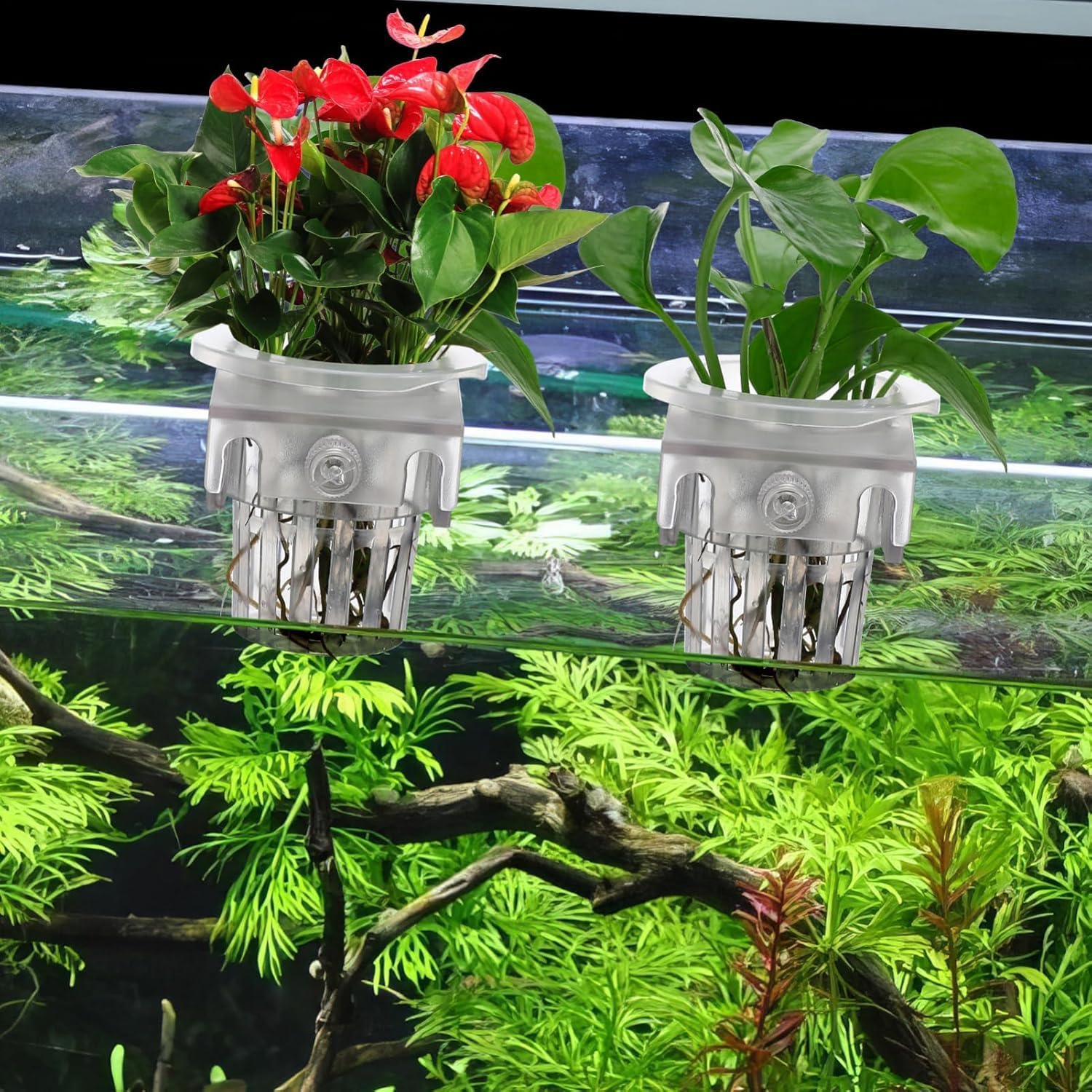2Pcs Hanging Clear Fish Tank Plant Holder with Hole, Plastic Hanging Aquarium Plant Holders, Clear Aquarium Plant Holder with Rooting Hole image number 1