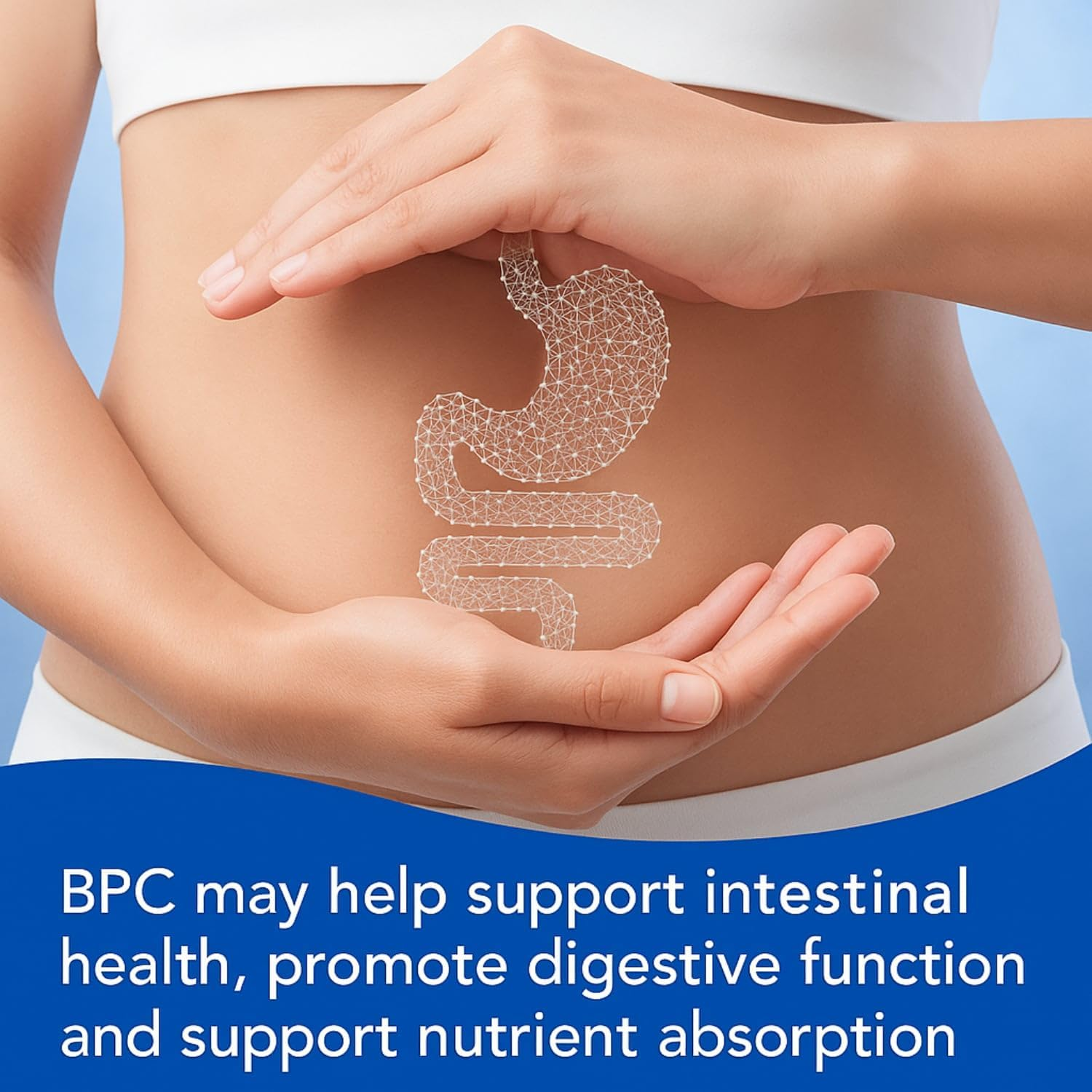 BPC Amino Acid Peptide Complex Capsules &ndash; 1000Mcg per Serving | 60 Vegetable Capsules | Multi-Amino Blend with Essential & Non-Essential Aminos| Non-Gmo | No Fillers image number 2