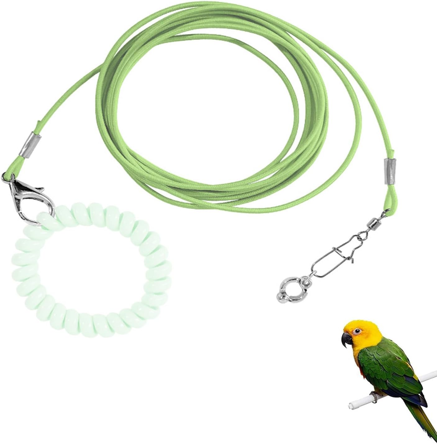 Bird Foot Chain - Adjustable Harness and Biting-Resistant Training Toy with Ankle Ring - Pet Outdoor Flying Rope for Terrace (Green)