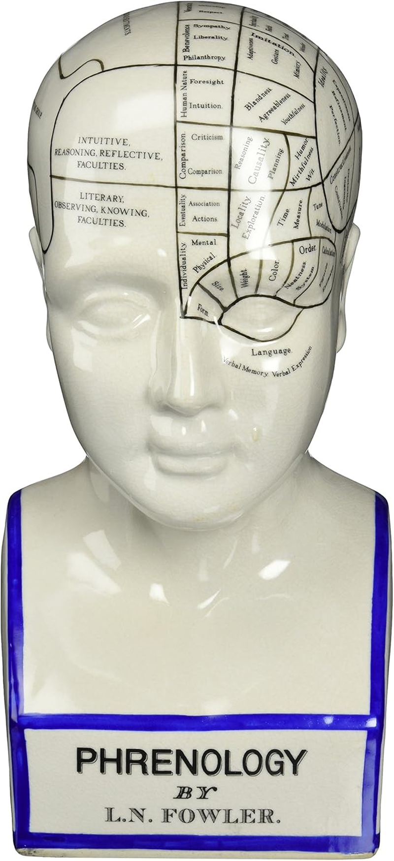 Design Toscano Inc 12H In. Porcelain Phrenology Head Statue [Kitchen] image number 4
