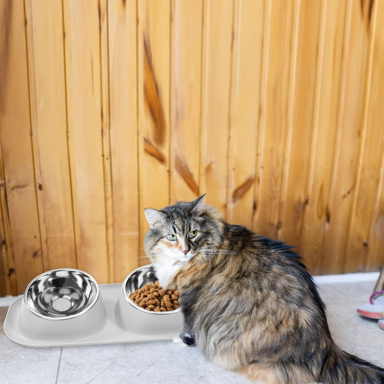 Feeding Bowl for Cats and Dogs, Double Cat Bowl, 15&deg; Tilt, Futing Bowl & Water Bowl with Stand, Stainless Steel Dog Bowl for Small Dogs image number 5