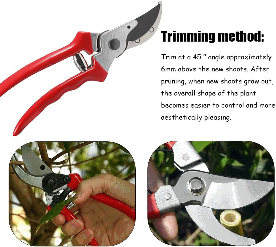 Heavy Duty Tree Pruning Shears Set, Used for Pruning Tree Branches with Labor-Saving and Durable Garden Shears, Used for Pruning Horticultural Plants, Flowers, and Trees image number 4