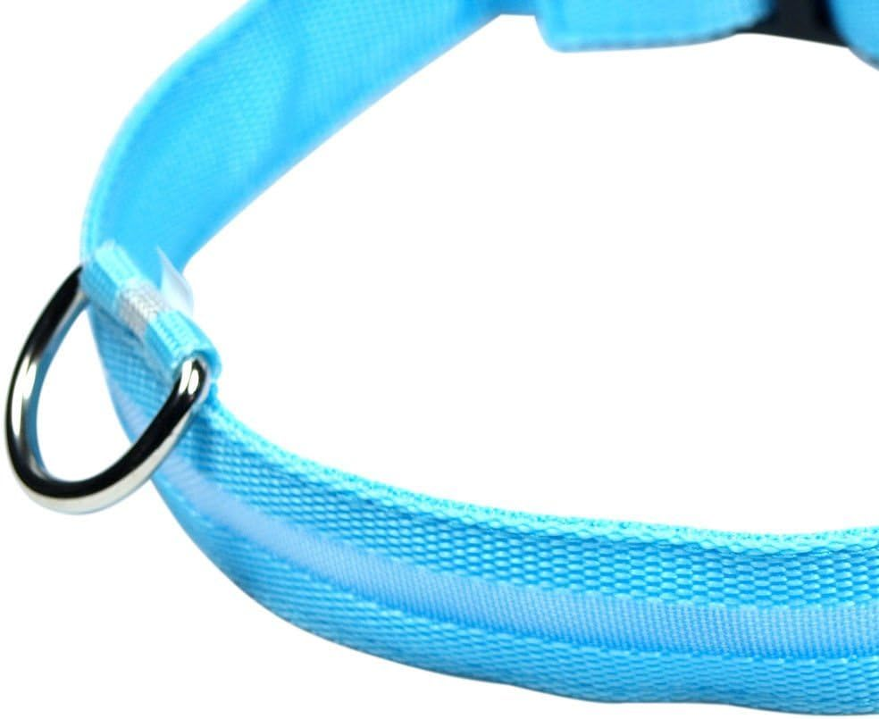 NEO+ UK SELLER ! Improved Dog Visibility & Safety USB Rechargeable LED Dog Safety Collar. Ultra-Bright Led'S. Connects to Devices. Dog Will Be More Visible & Safe (BLUE SIZE XL) image number 2