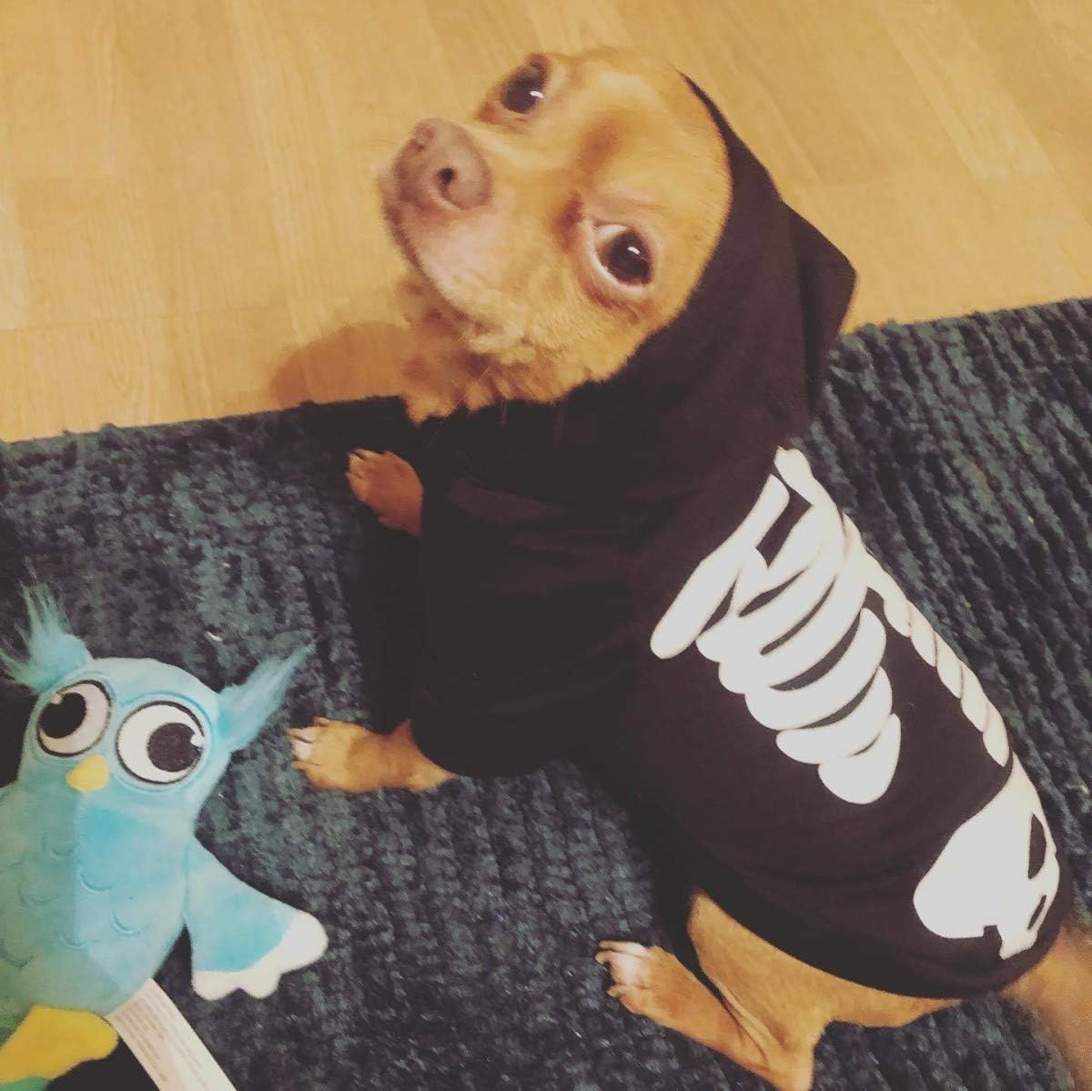 Coomour Halloween Pet Dog Cat Skull Hoodies Glowing Skeleton Bones Costume Outfit for Dogs Cats (XL) image number 5