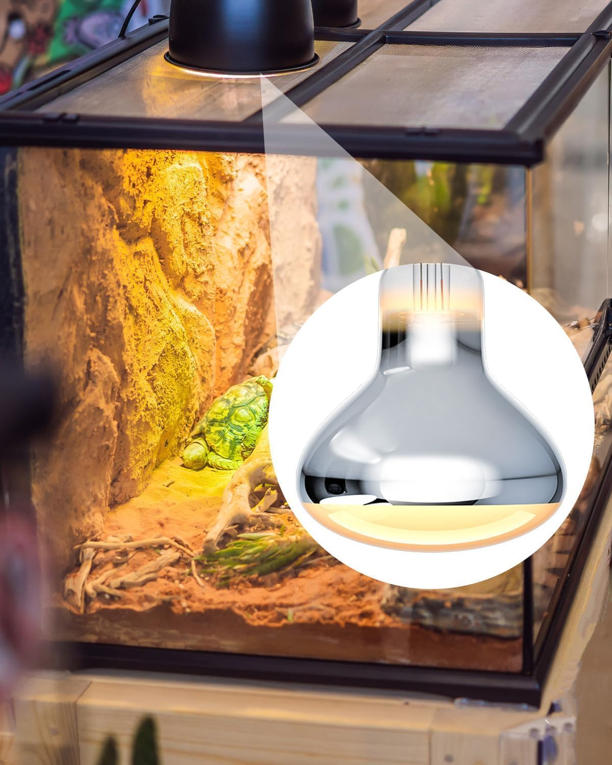 E27 UVB Reptile Heat Bulb 160W R95 Heat Lamp AC220-240V for Reptiles Amphibians, Bearded Dragons, Geckos, Snakes, Turtles, Tortoises, Lizards, Frogs, Spiders, Small Mammals (Pack of 1) image number 5