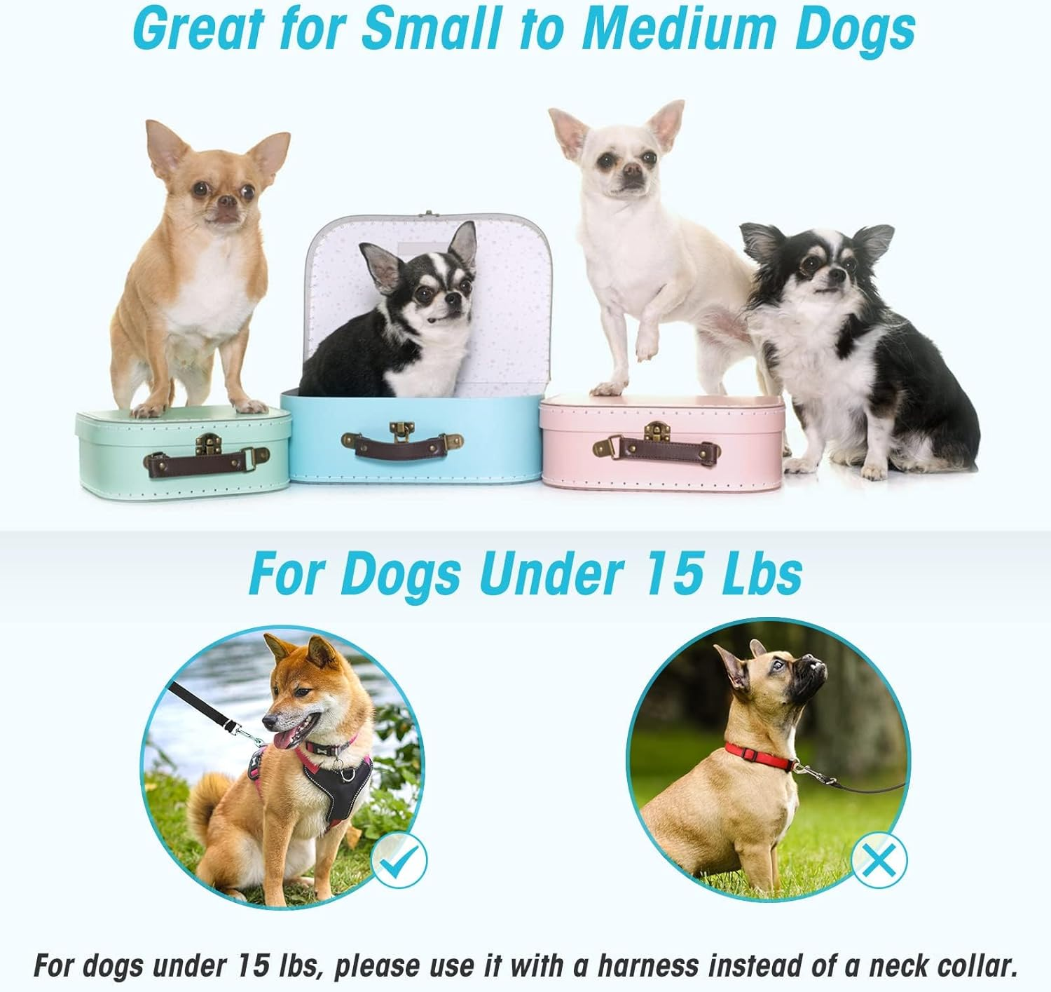 Oneisall Free Leads for Small and Medium Dogs, Dog Lead 2.5 M Adjustable Practice Lead & Lead Nylon Double Lead with 2 Carabiners image number 2