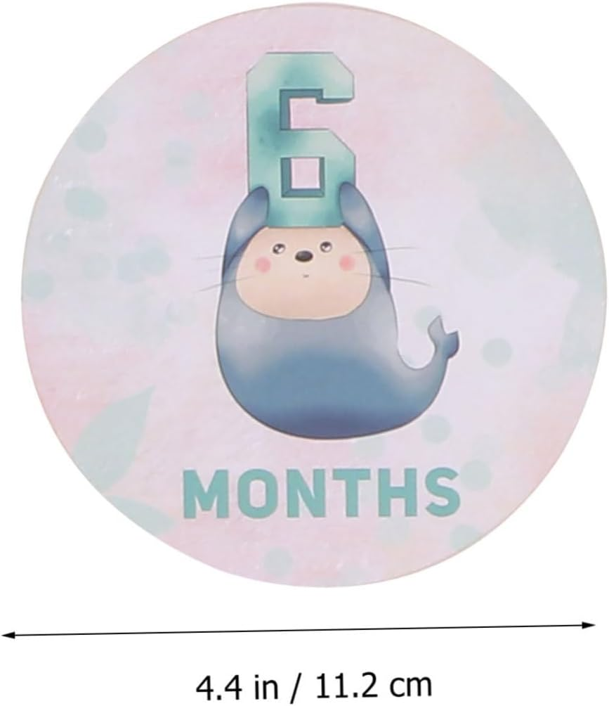 TEHAUX Creative Newborn Monthly Sticker Photo Props for Nursery Milestone Photo Supplies to Capture Babys Growth and First Year Memories