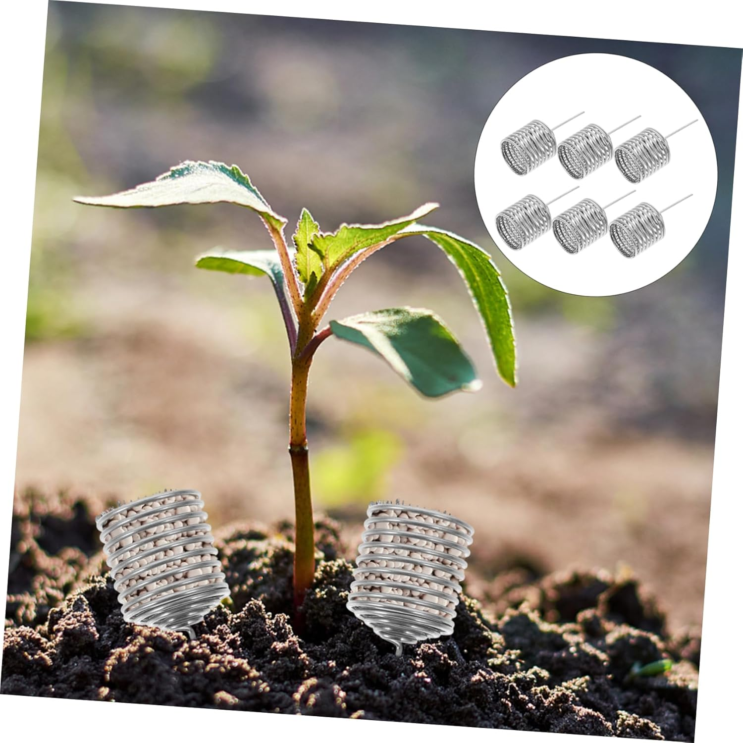 VANZACK 6Pcs Stainless Steel Bonsai Fertilizer Box Fertilizer Mesh Baskets for Indoor Plants