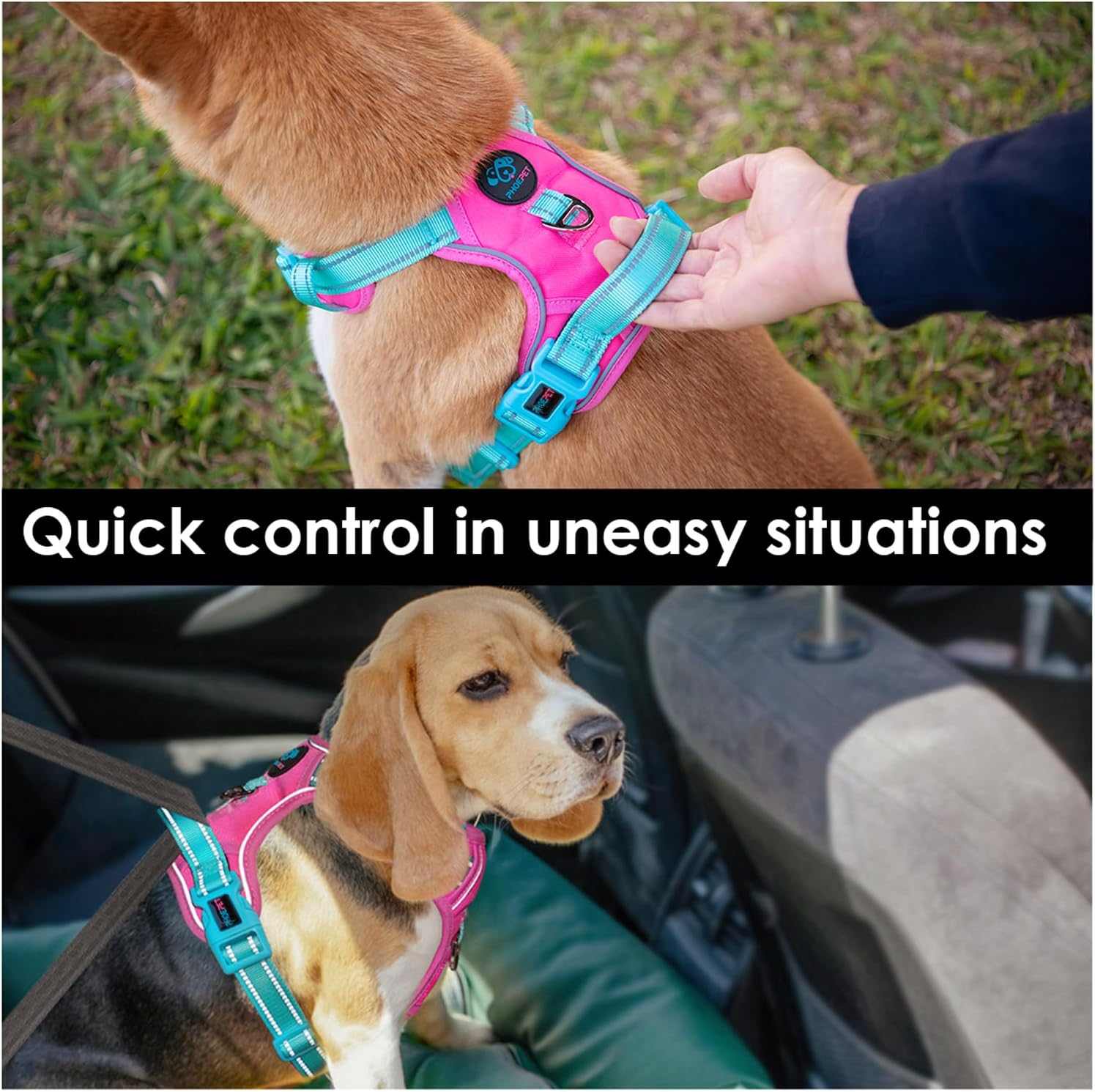 PHOEPET No Pull Dog Harness, Unique Colors Reflective Adjustable Dog Vest, with Soft Training Handle Metal Clips for Small Medium Large Dogs (Pink Base & Green Straps,M) image number 4