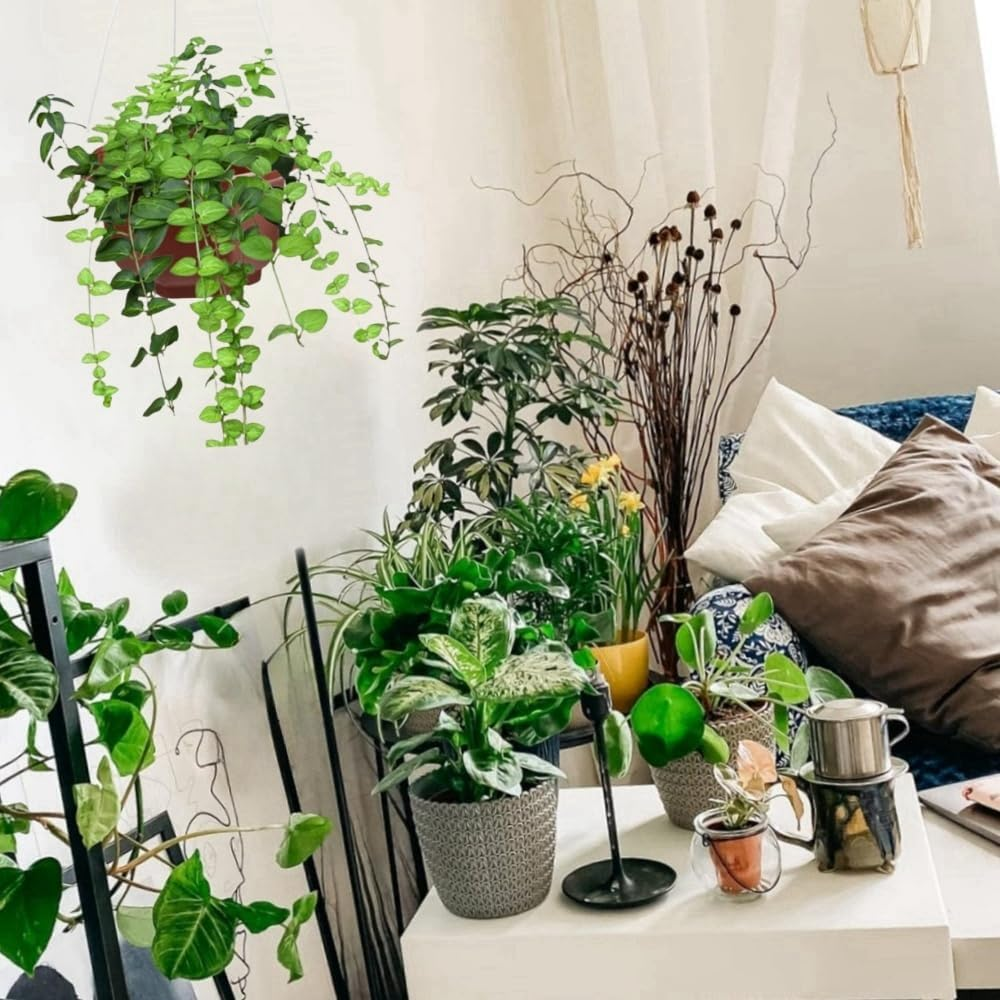 20 Pack Hanging Basket Hangers Hook, 39.5 Cm Plastic Hanging Basket Chain, Wizefolk Garden Plant Hangers, Flower Plant Pot Hanger, for Plastic Flowerpot (White) image number 2