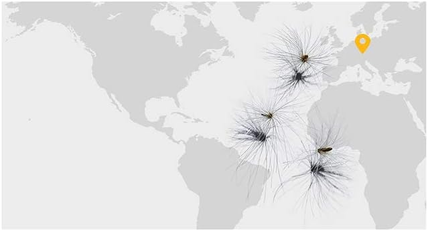 Clarins Double Serum (Hydric + Lipidic System) Complete Age Control Concentrate 30Ml/1Oz image number 1
