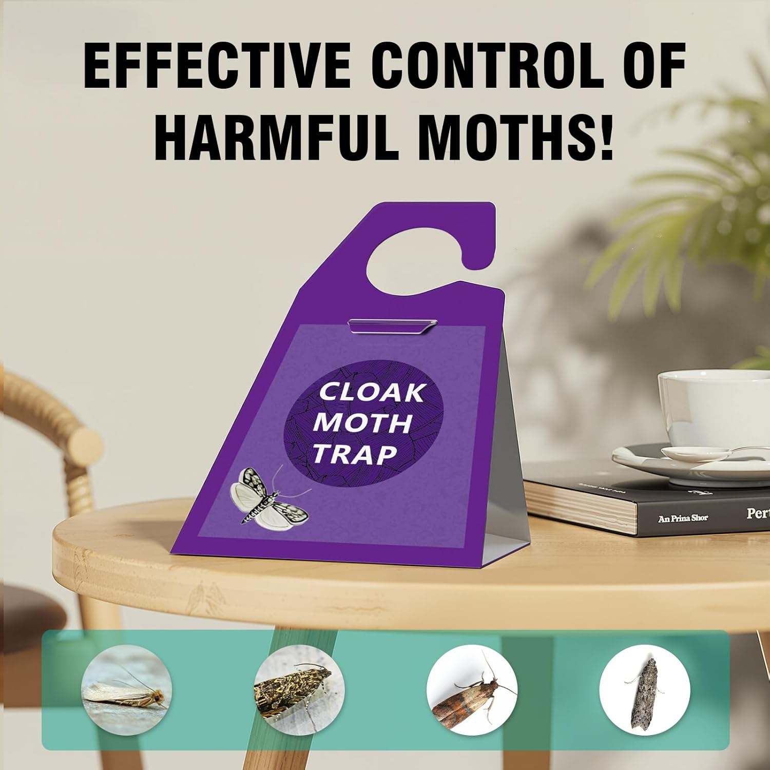 Moth Traps, Clothes Moth Killer with Sticky Glue Pheromone, No Toxic Odorless Organic Meal Moths Trap,Sticky Trap Based Repellent for Closets Carpet Kitchen Garden Barn,6 Packs image number 1
