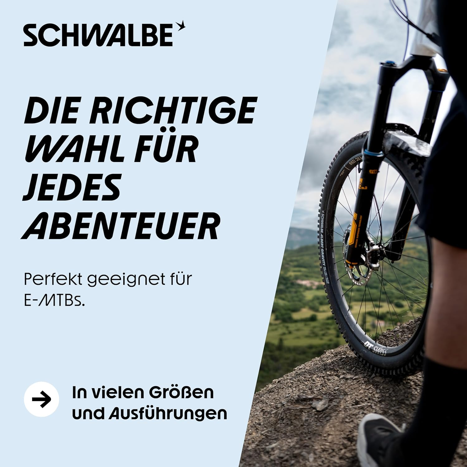 Schwalbe Albert Radial TLR Folding Tyre image number 4