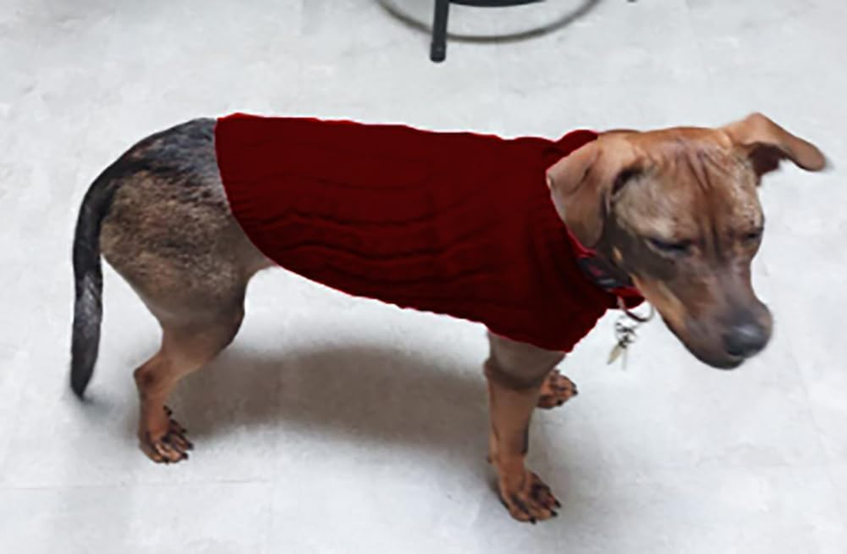 Dog Sweaters for Medium Small Dogs, Cat Sweater Dog Clothing Dog Jumper Puppy Turtleneck Knitted Dog Outfit Pet Twist Striped Vest Cute Warm Winter Clothes for Chihuahua, Dachshund (Wine, Medium) image number 2