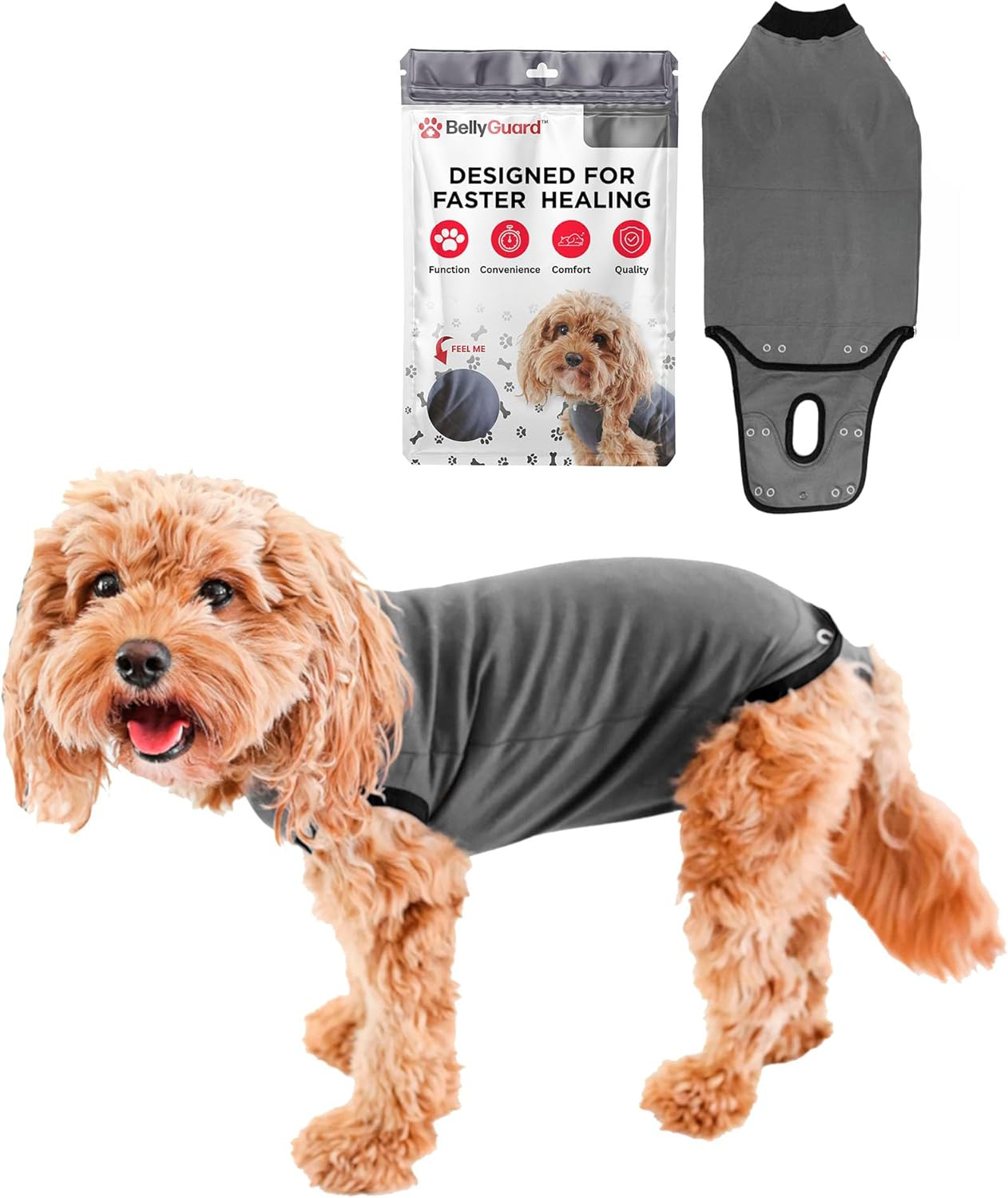 Belly Guard - Dog Recovery Onesie - Cone Alternative - after Surgery Wear (Medium, Grey)