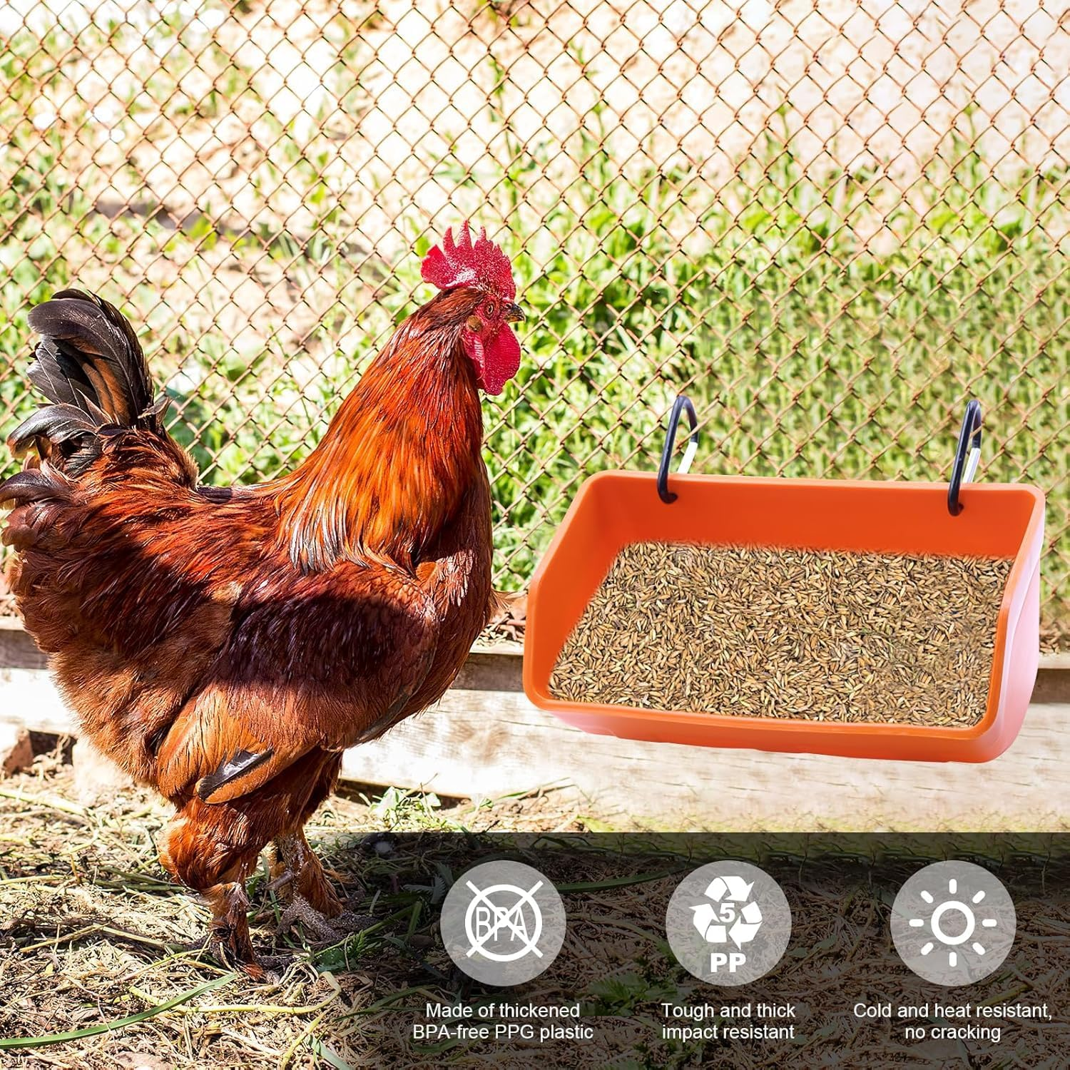 Fence Hanging Chicken Feeder - 2 Pack Feed Trough with Clips for Goat Duck Sheeple Horse Goose, Pig Poultry, Chicken Feeder Bucket Feeding Container (Orange)