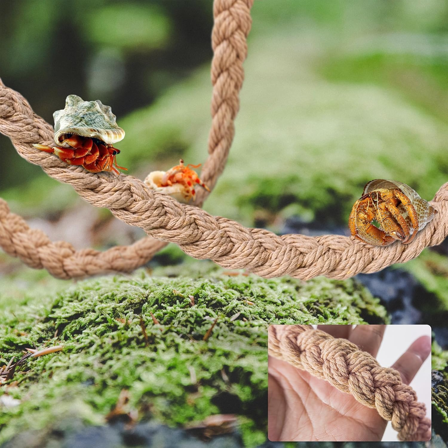 1PCS Hermit Crab Climbing Toy &ndash; Natural Jute Rope Ladder with Hooks, Reptile Terrarium Accessory for Hermit Crabs, Geckos, Lizards & Snakes, Tank Habitat Decor image number 3
