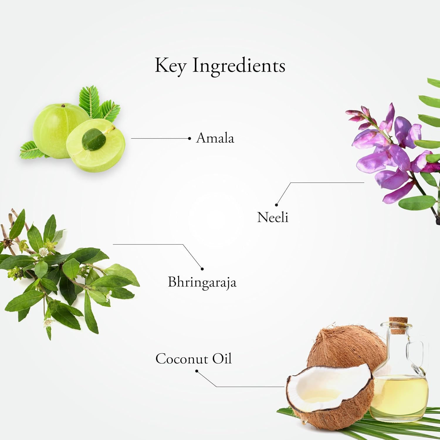 Sitaram Neelibringadhi Hair Oil | Ayurvedic Neelibhrungadi Thailam | Herbal Oil for Healthy Hair(200Ml)