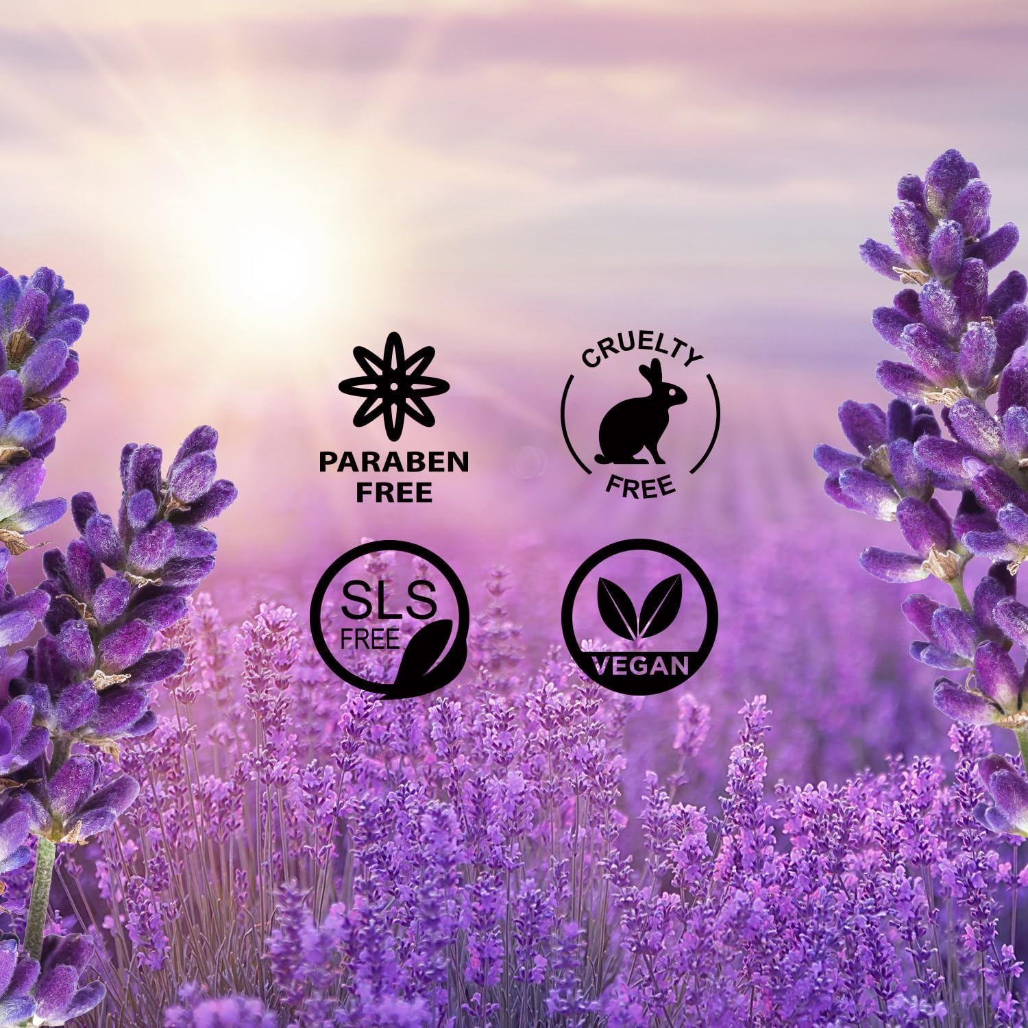 Nykaa Wanderlust French Lavender Body Butter with Shea & Cocoa Butter - Vitamin E & Jojoba Extract, Deeply Moisturize & Hydrate Skin, Sodium & Sulphate Free, Paraben Free - 200Ml image number 1