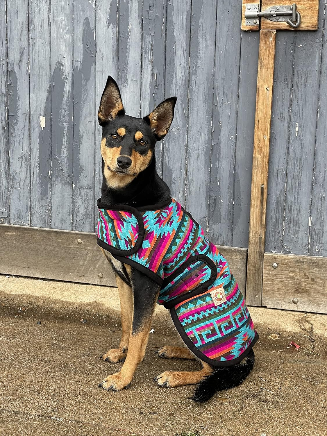 Chilly Dog 300407 Dog Coats, Medium image number 1