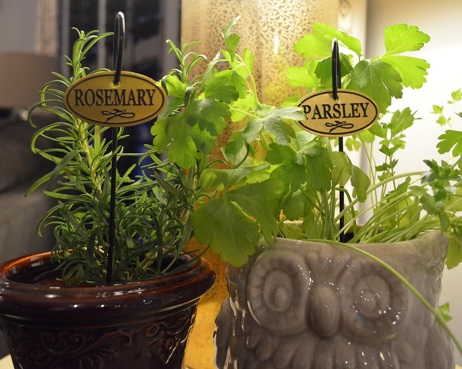 Bosmere H300 Brass Herb Tags with 10" Stakes (Set of 8)