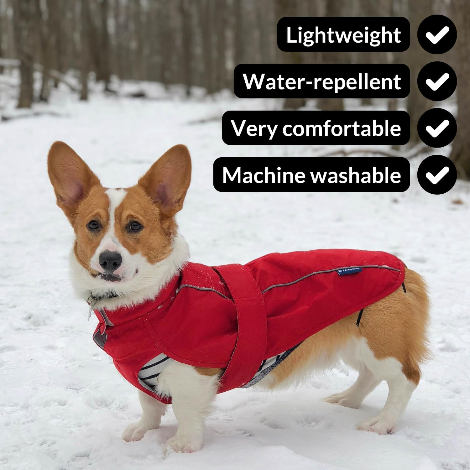 DJANGO City Slicker All-Weather Dog Jacket & Water-Repellent Raincoat with Reflective Piping (Small, Kombu Green) image number 4