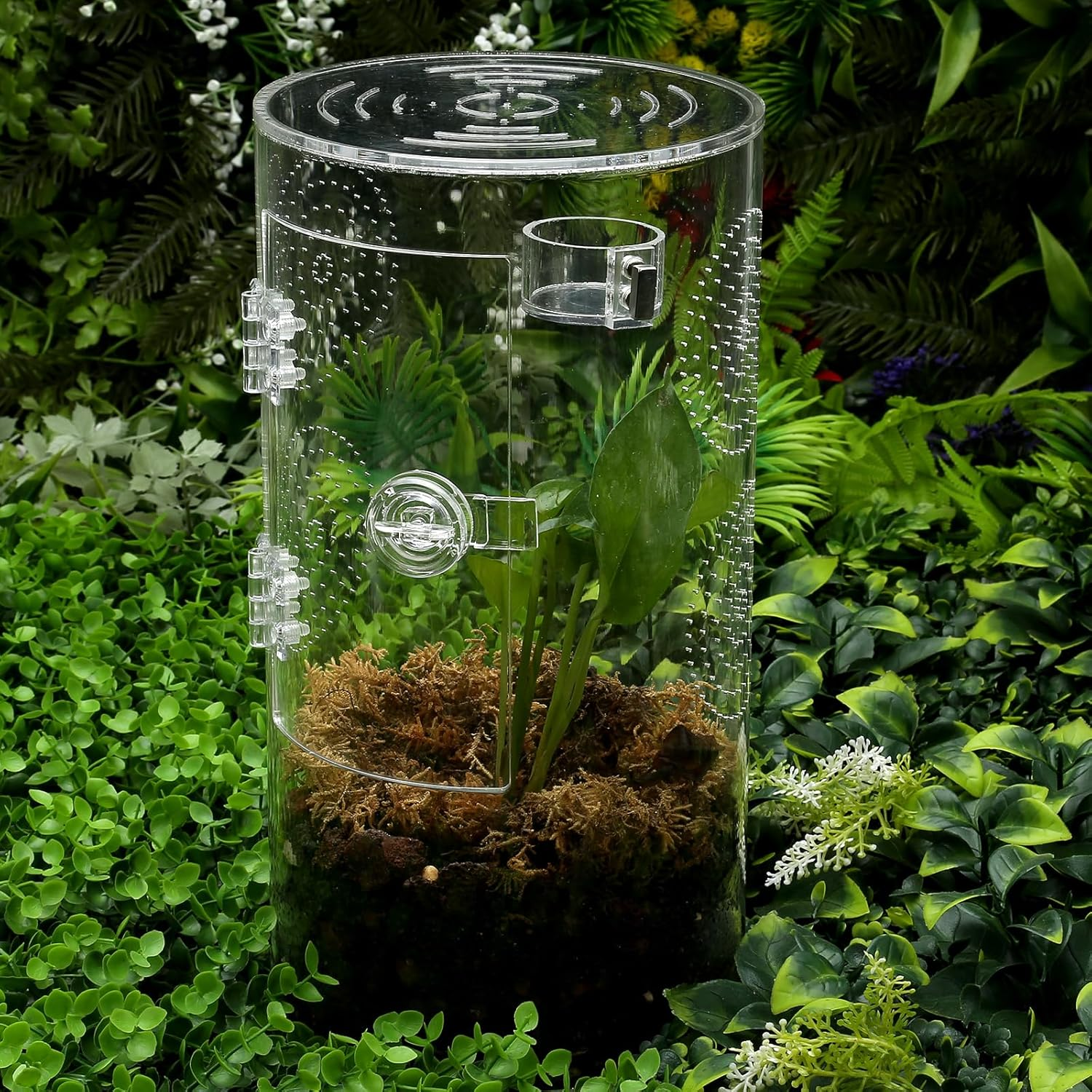 Tarantula Food Bowl Water Dish, Jumping Spider Feeding Dish, Enclosure Accessories, Feeder for Insect, Praying, Mantis Habitat, Butterfly, Bug image number 5