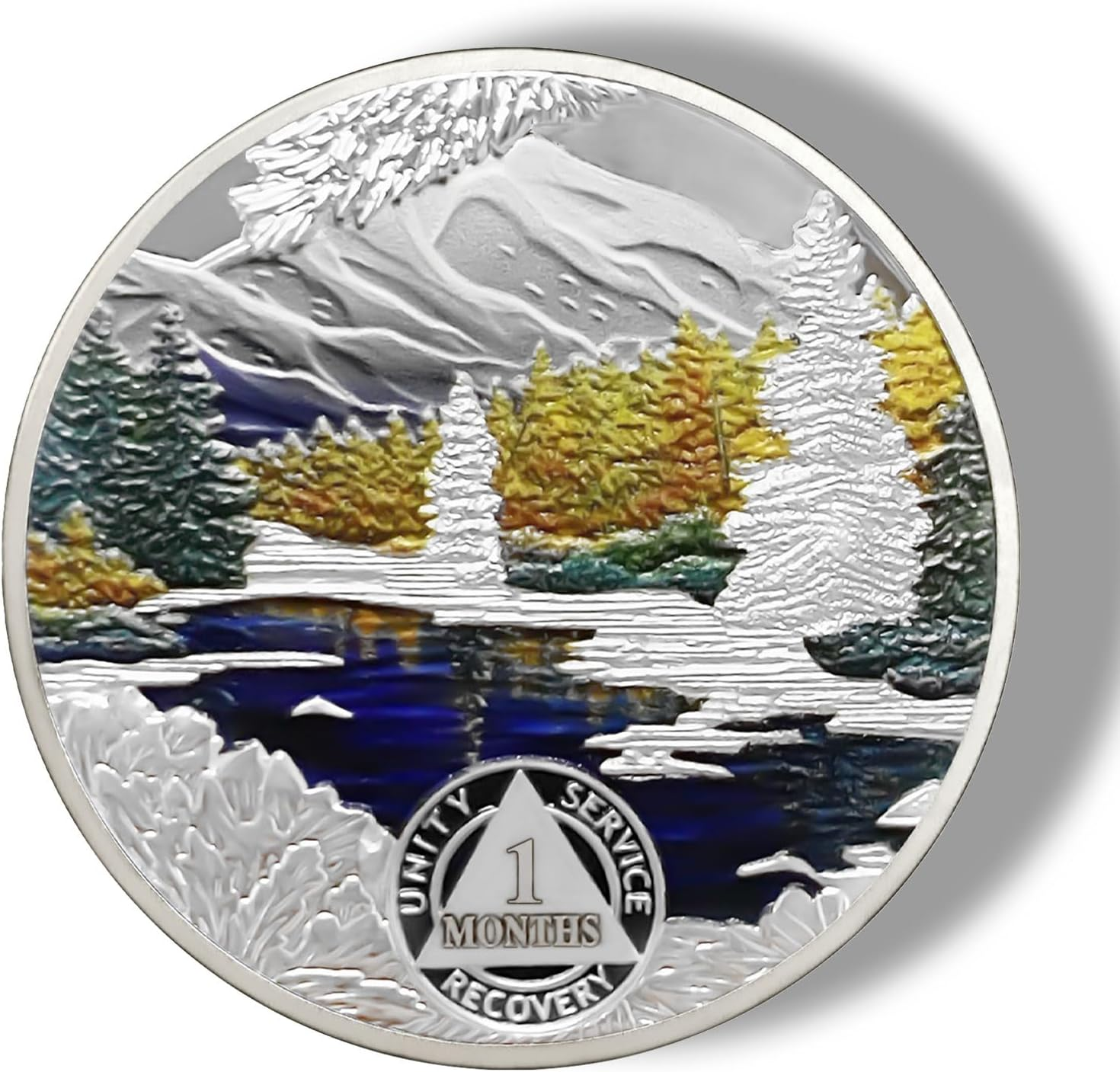 Winter 1 Month Sobriety Chip One Month Sobriety Coins AA Chips and Medallion Serenity Prayer Coin Recovery Anniversary Token Sobriety Gifts for Men Women Alcoholics Anonymous Gift image number 5