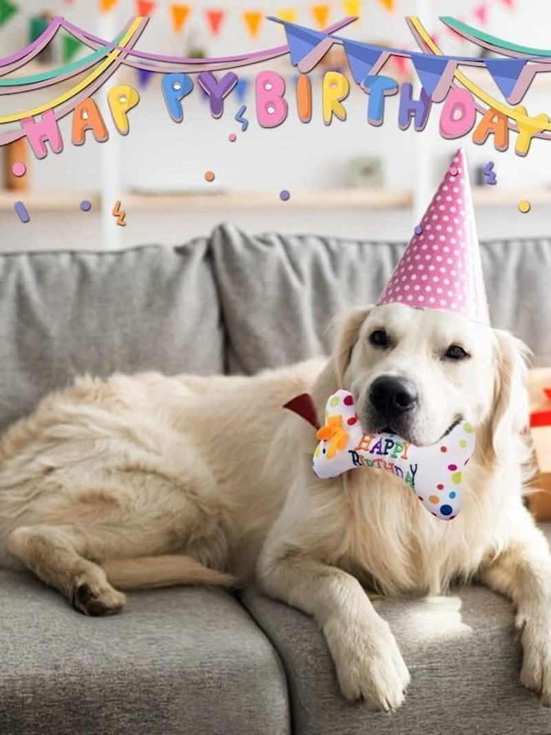 3Pcs Birthday Gifts for Dogs, Dog Squeaky Toys, Plush Pet Birthday Toys Birthday Theme Puppy Toys for Party Gifts image number 3