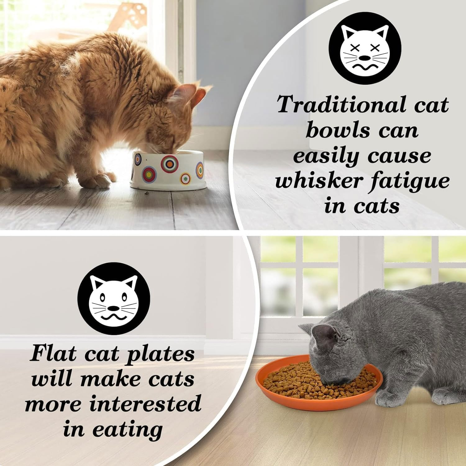 Pack of 10 Flat Cat Bowls, round Cat Plates, Colourful Cat Food Bowl Set, Cat Plate for Kittens and Short-Legged Cats image number 1
