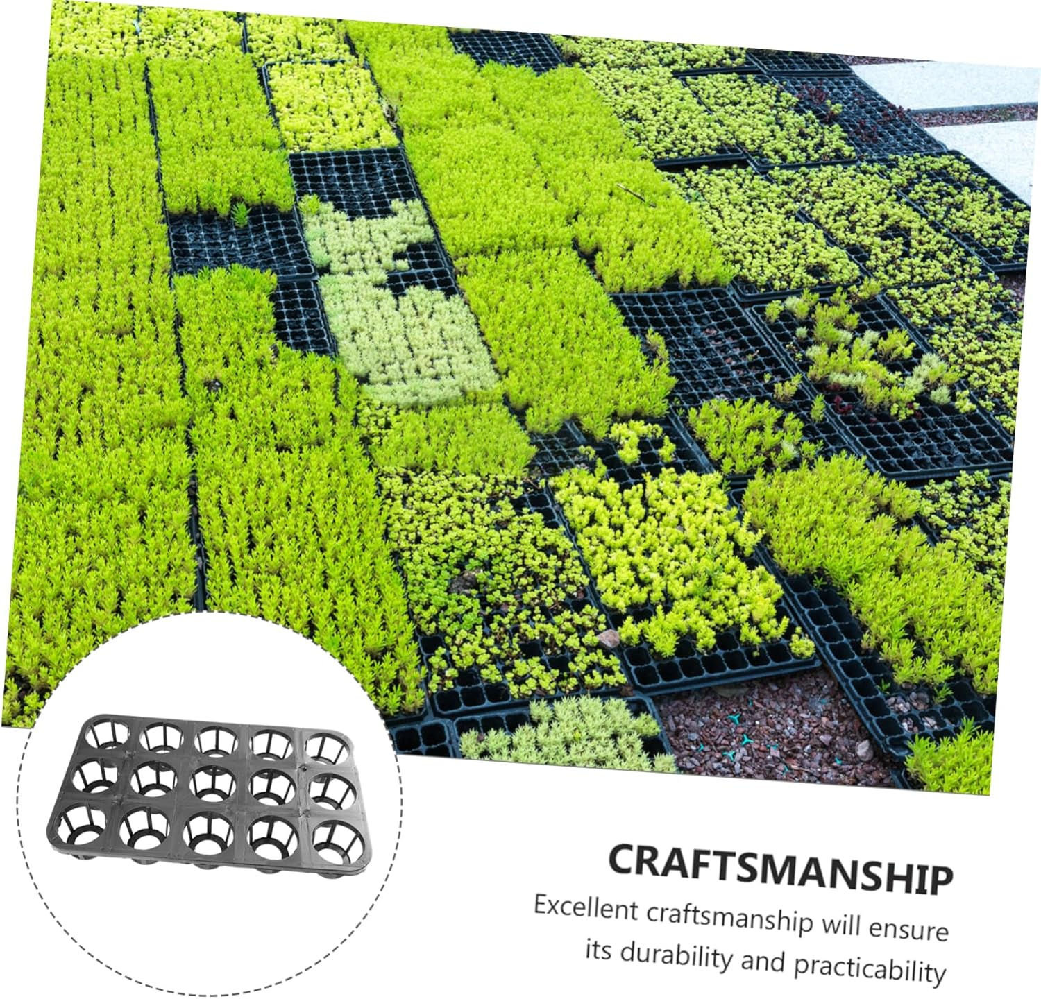 BCOATH 5 Pack Pp Starting Trays Greenhouse Planting Trays for Fruits Sowing Supply Planting Nursery Tray image number 3