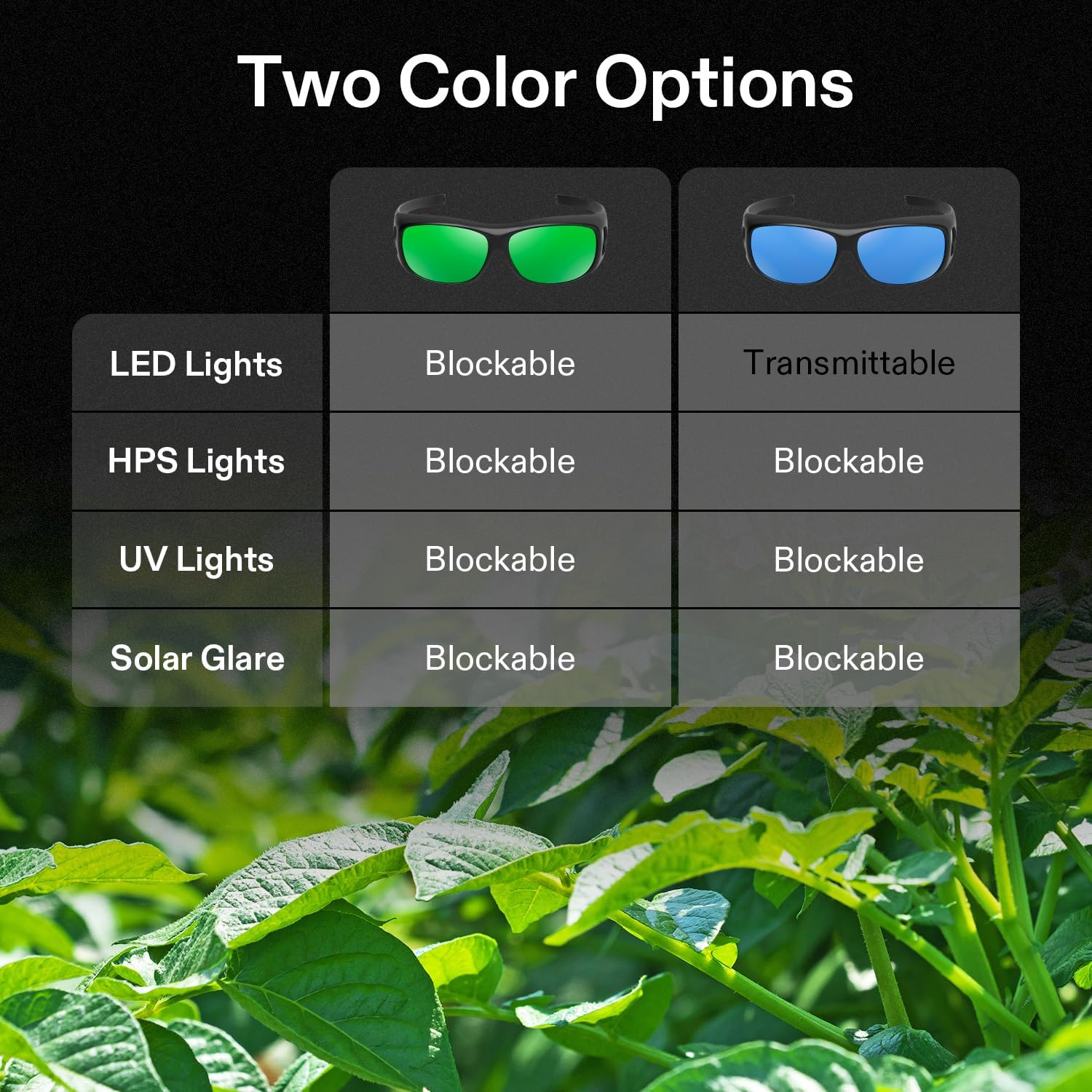 VIVOSUN 2-Pack Indoor Hydroponics LED Grow Room Glasses with Glasses Case image number 4