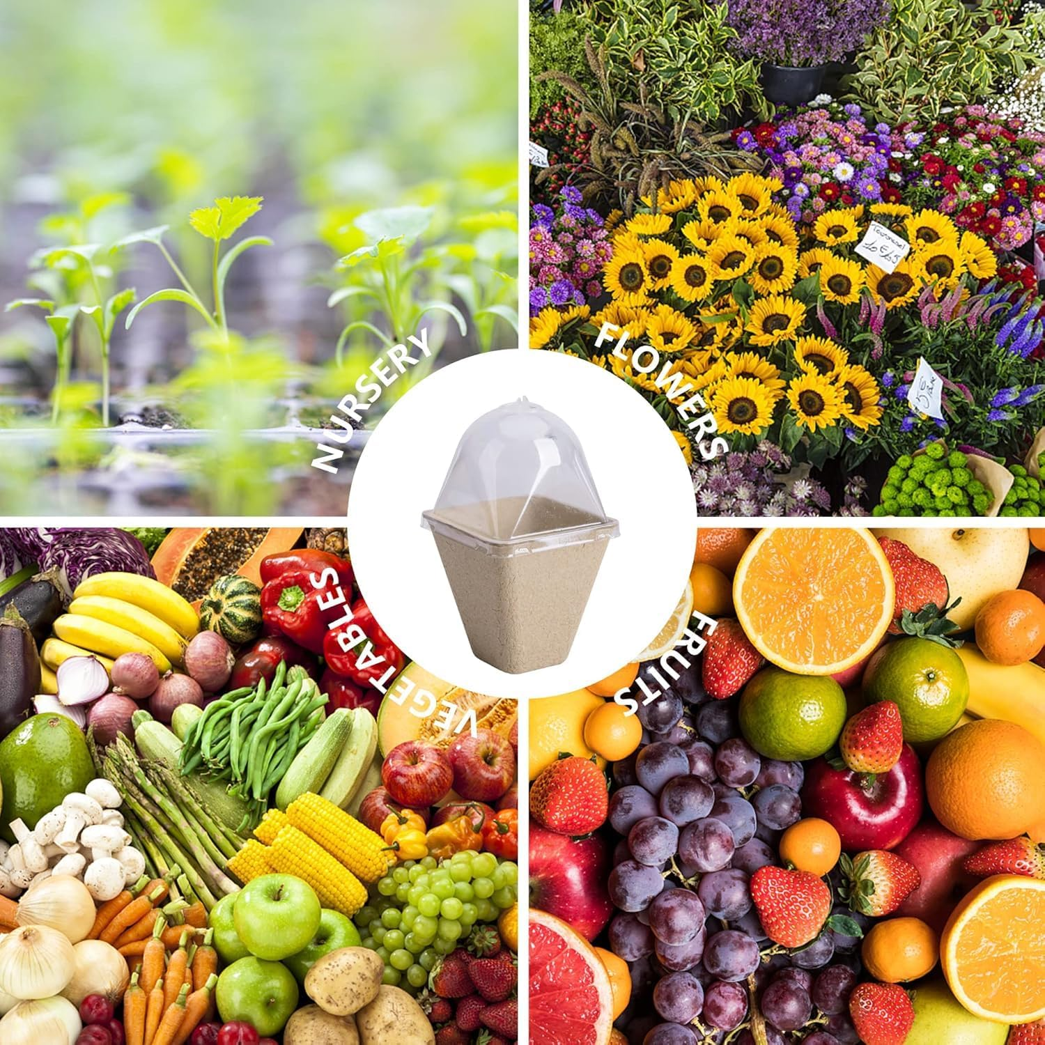 20-Pack Biodegradable Nursery Pots with Humidity Dome - 6Cm Square Seed Starter Pots for Plants, Flowers, Vegetables - Eco-Friendly Peat Pots for Seedlings Germination