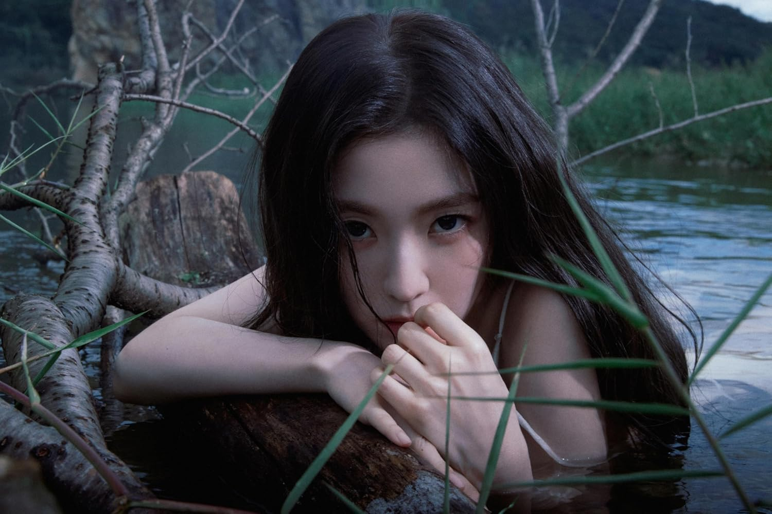 Red Velvet Irene like a Flower 1St Mini Album with Tracking Sealed (Photobook Version) image number 5