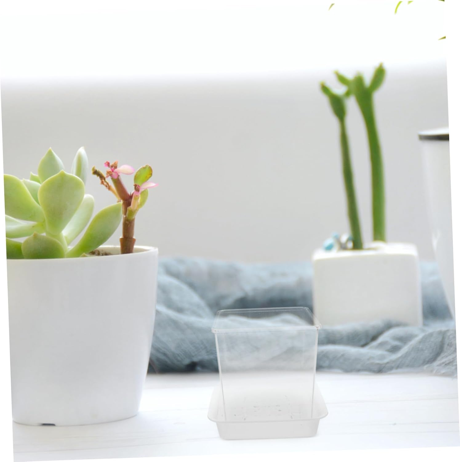 NAMOARLY Interactive Mini Plant Pots Hydroponic Design for Root Growth Observation Boys and Girls Seedling Pots Planters for Indoor Gardening Educational Planters image number 5