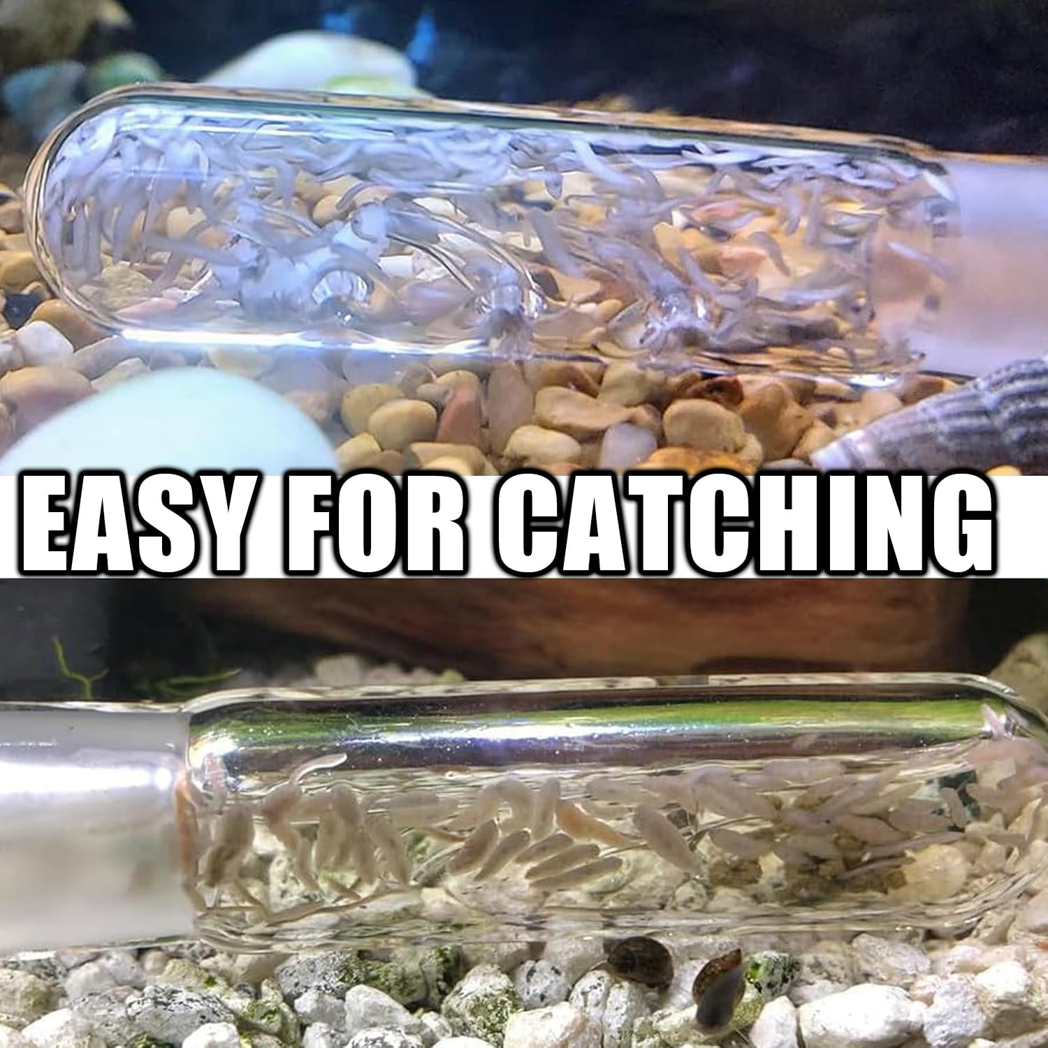 WEZCHUGHAOL Planaria Trap for Aquarium - 3Pcs Glass Leech & Bristle Worm Catcher, Shrimp Tank Cleaner with Dual Entrance Design, Safe Flatworm/Planaria Remover for Freshwater Fish Tank Accessories image number 6