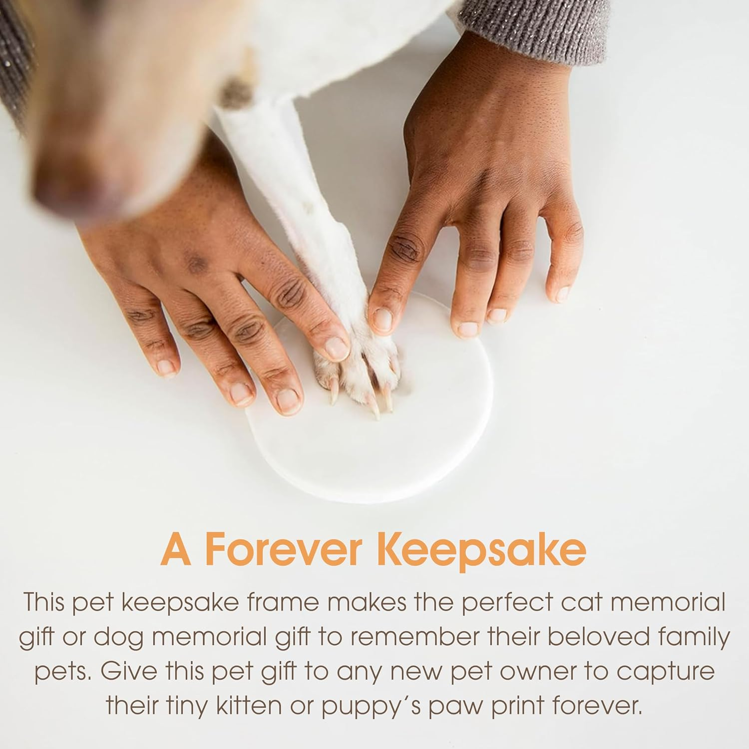 Pearhead Pet Paw Print Photo Frame with Clay Imprint Kit - Wooden Photo Frame, DIY No-Mess Pawprint Keepsake, Perfect for Cats & Dogs, Ideal Memorial and Home Decor Gift, Distressed Gray image number 2